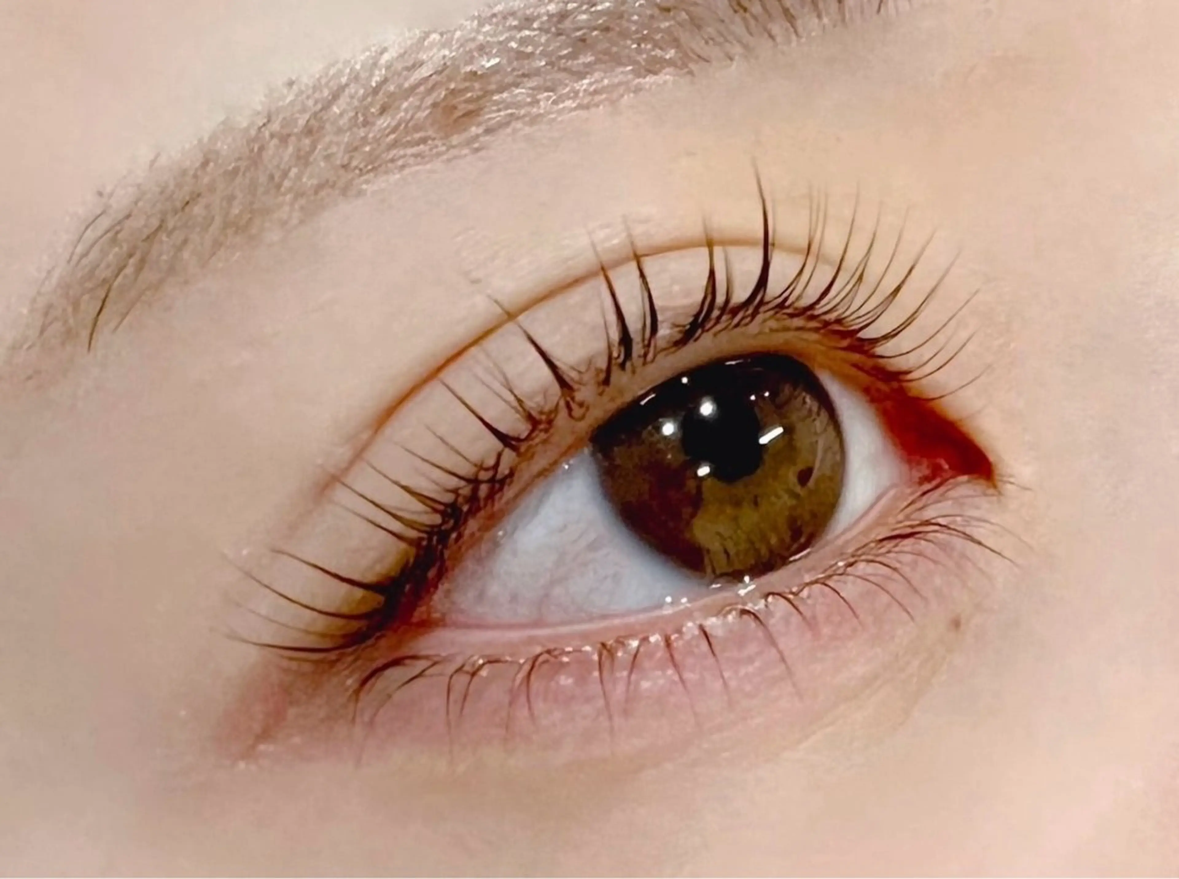 ✨ラッシュリフトカール上下✨(パリジェンヌ変更可)修復ケアTR＋アイシャンプー付🫧の写真