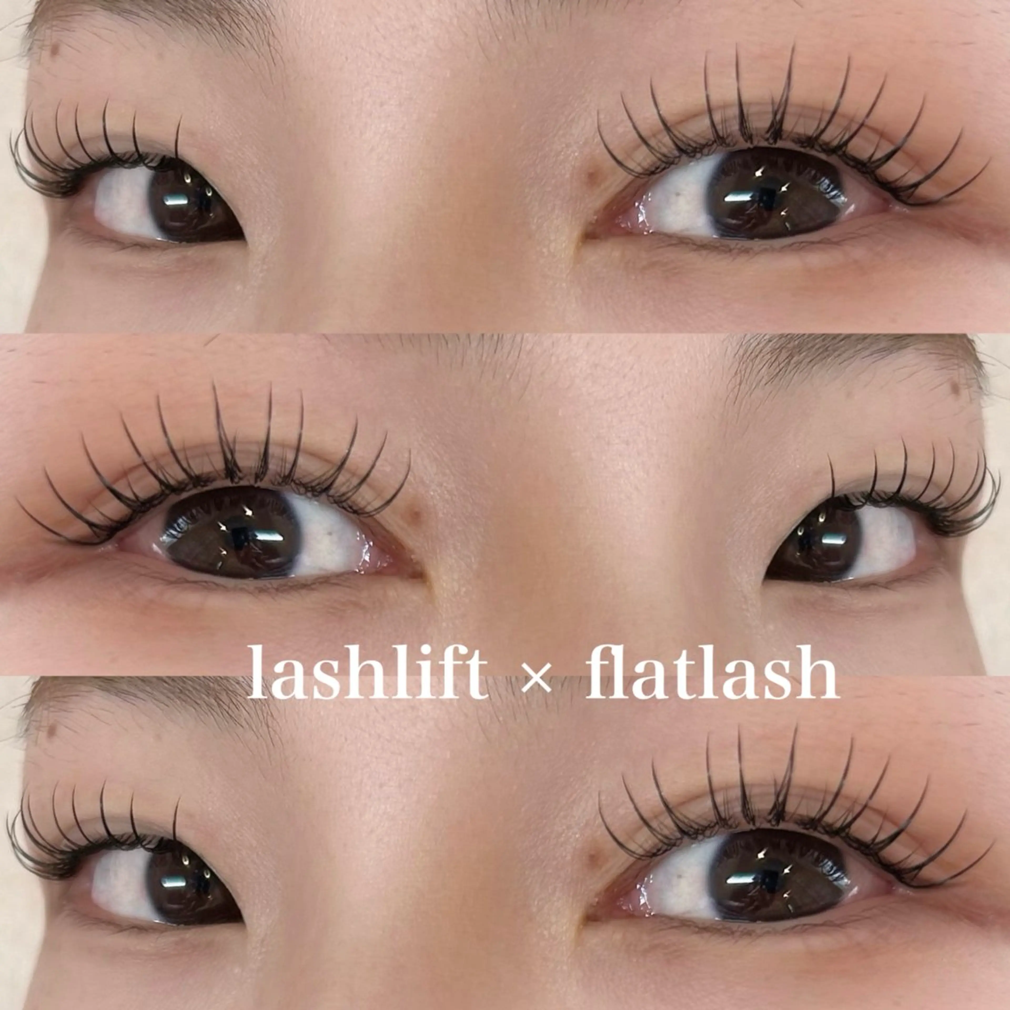 パリエク🪽期間限定モデル募集🩰💗【ラッシュリフト+エクステ100本】の写真