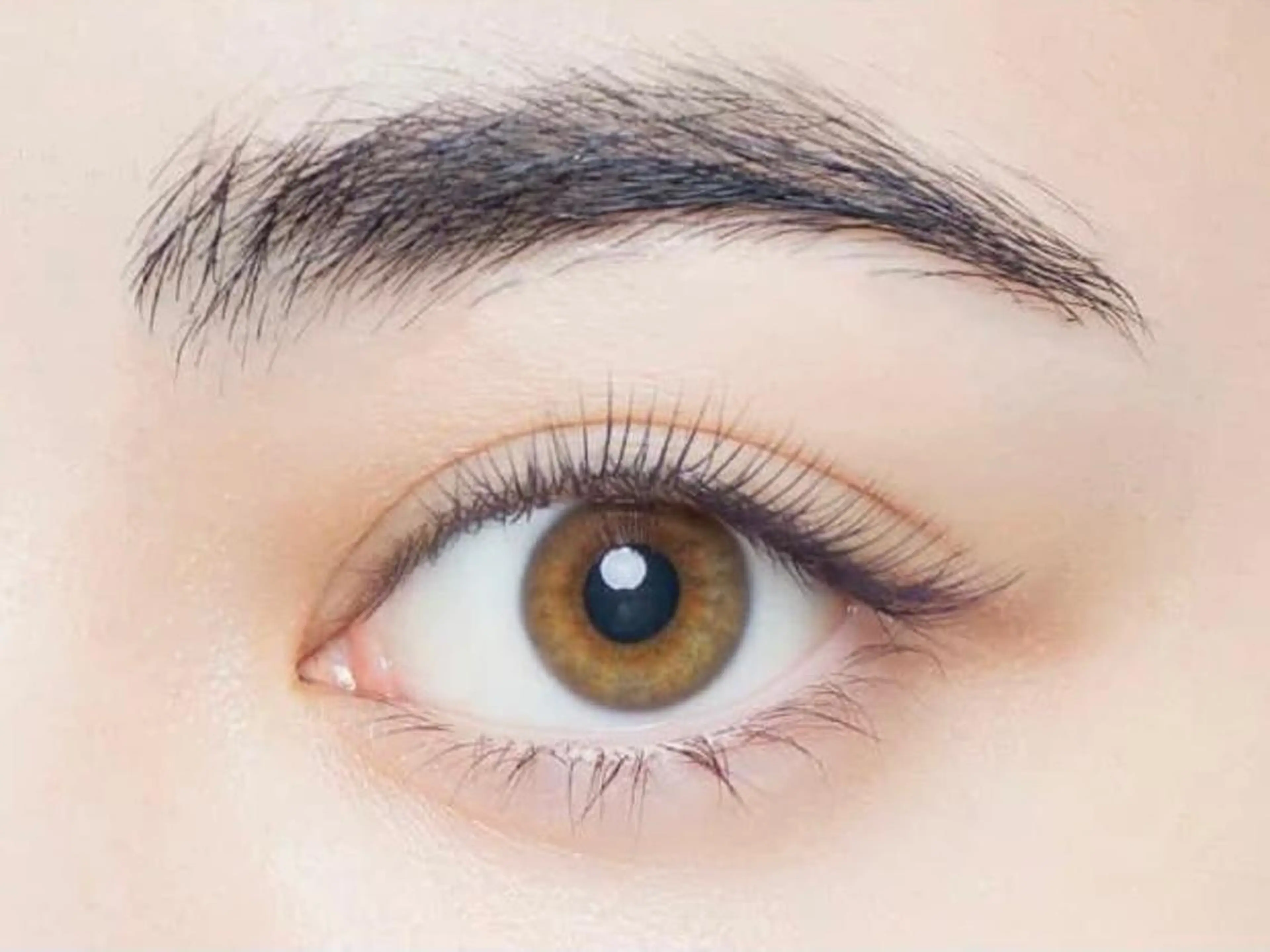 マツエク・マツパ ReBellaリベラ ハセベの眉毛・アイブロウイメージ