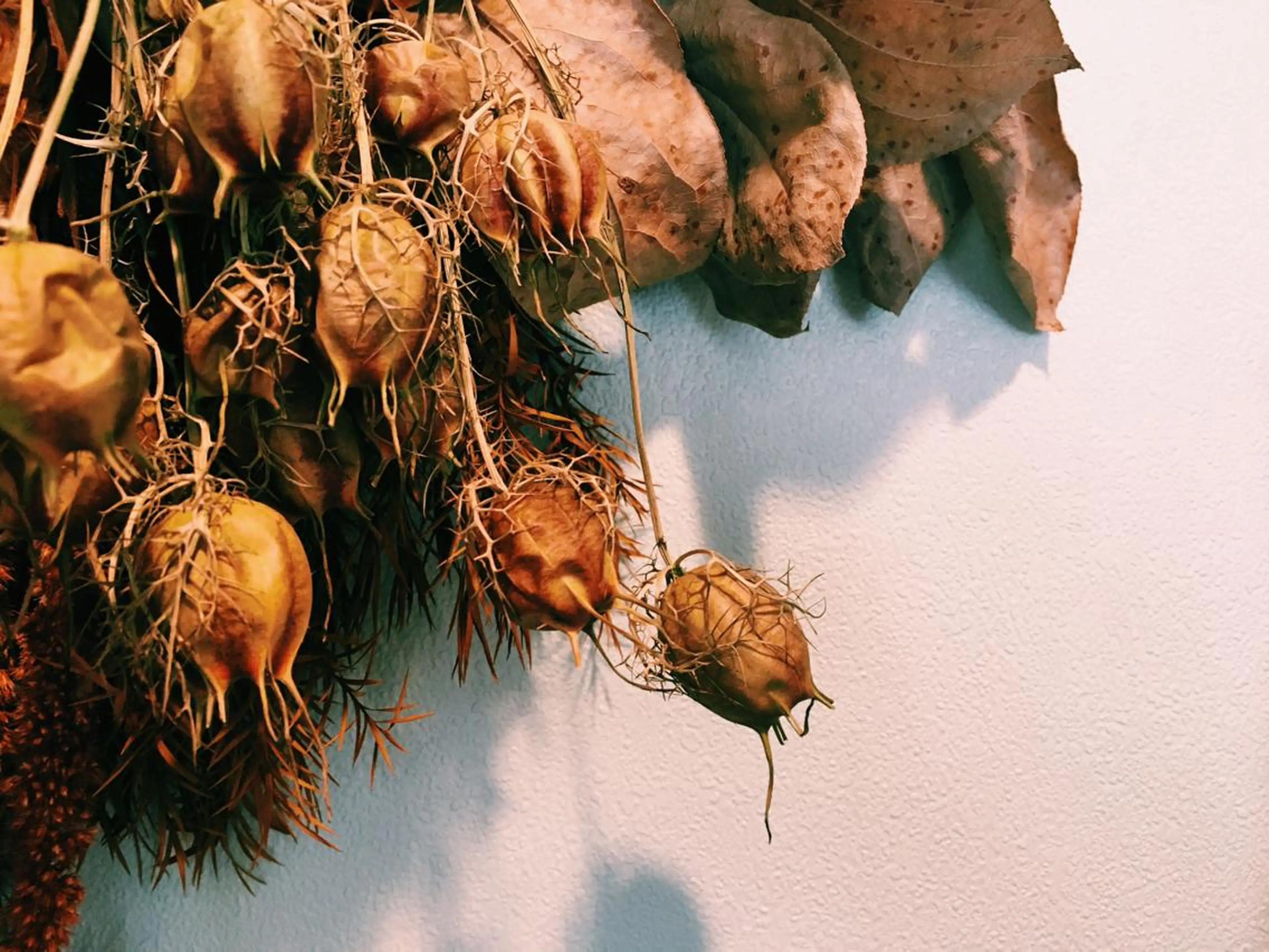 マツエク・マツパ utaeyelash所属・中川 朋美のマツエク・マツパデザイン