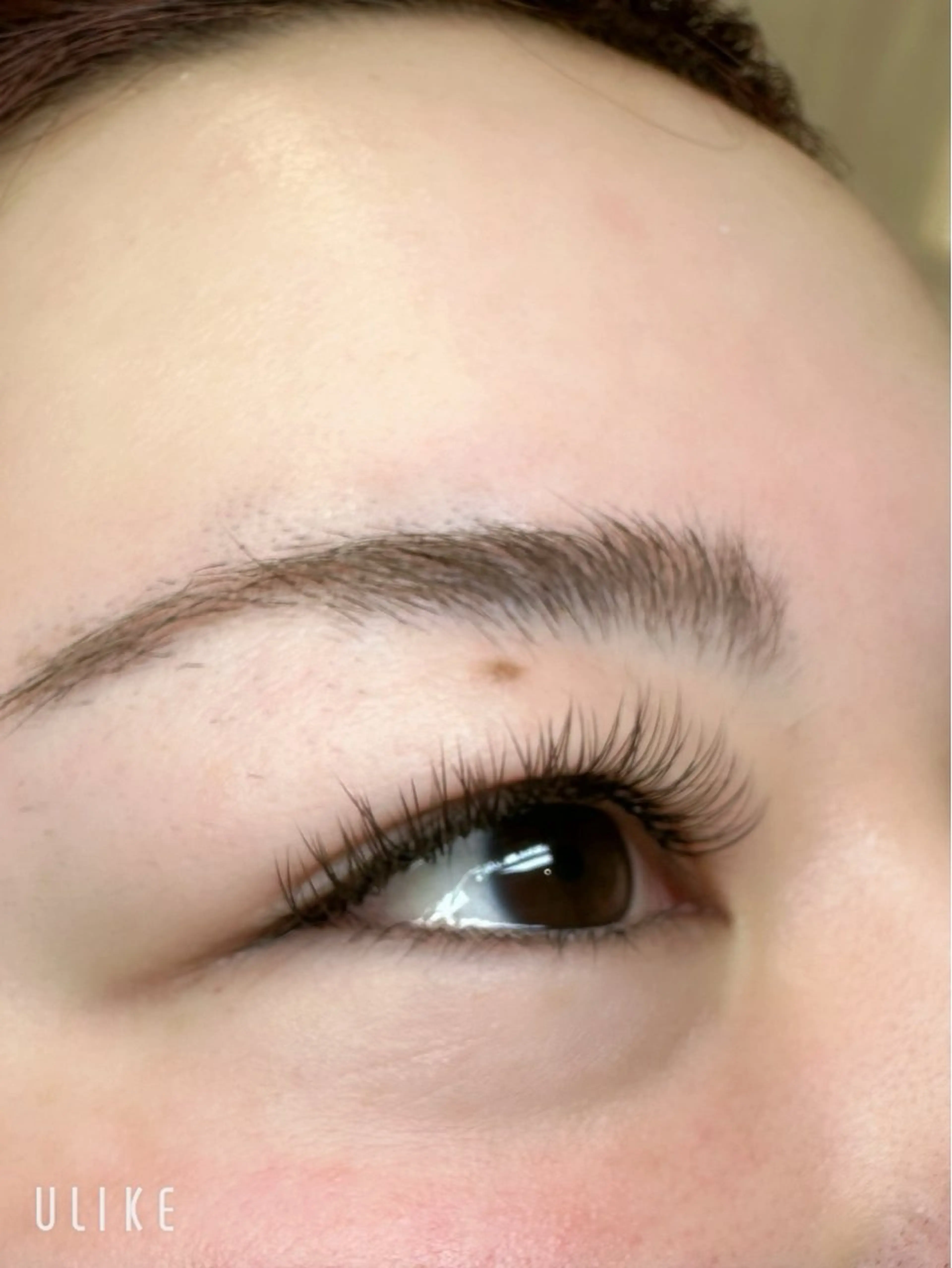 マツエク・マツパ ANCIL 🎡今野🎡のマツエク・マツパデザイン