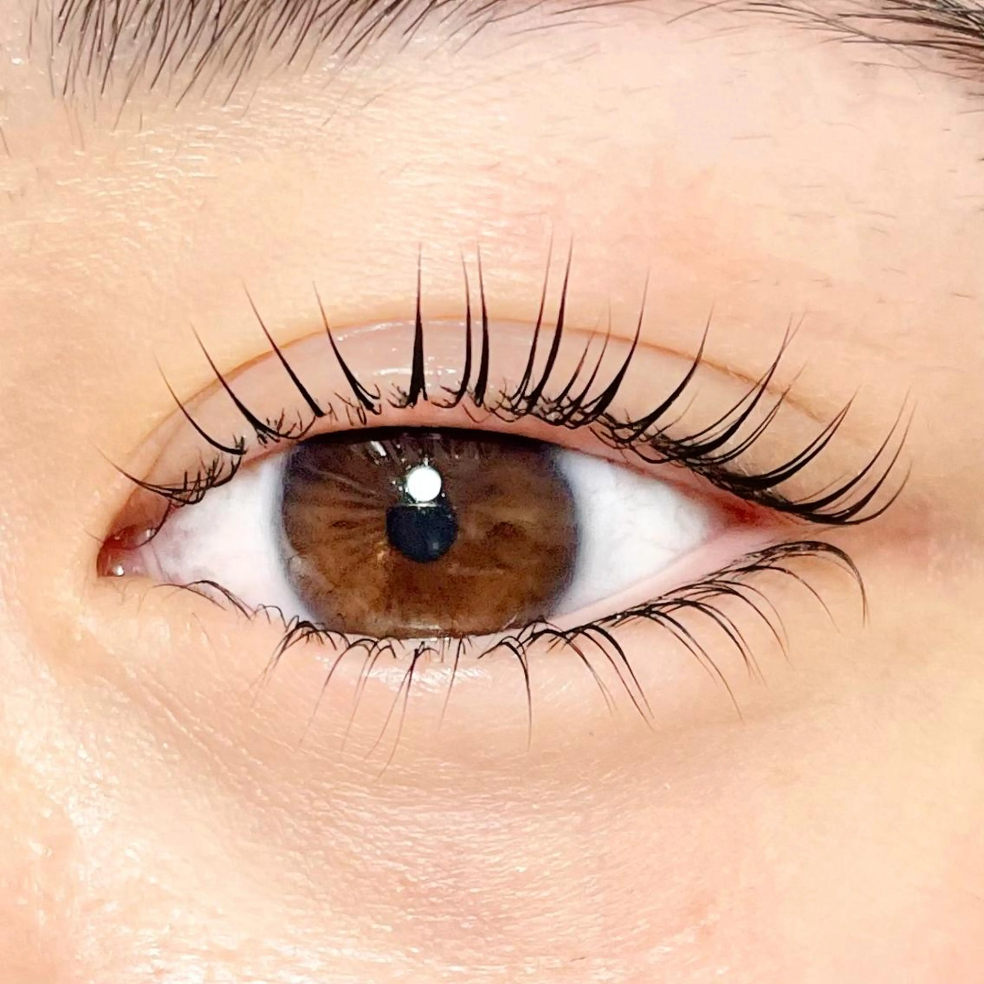 マツエク・マツパ eight eyelash池袋店のマツエク・マツパデザイン