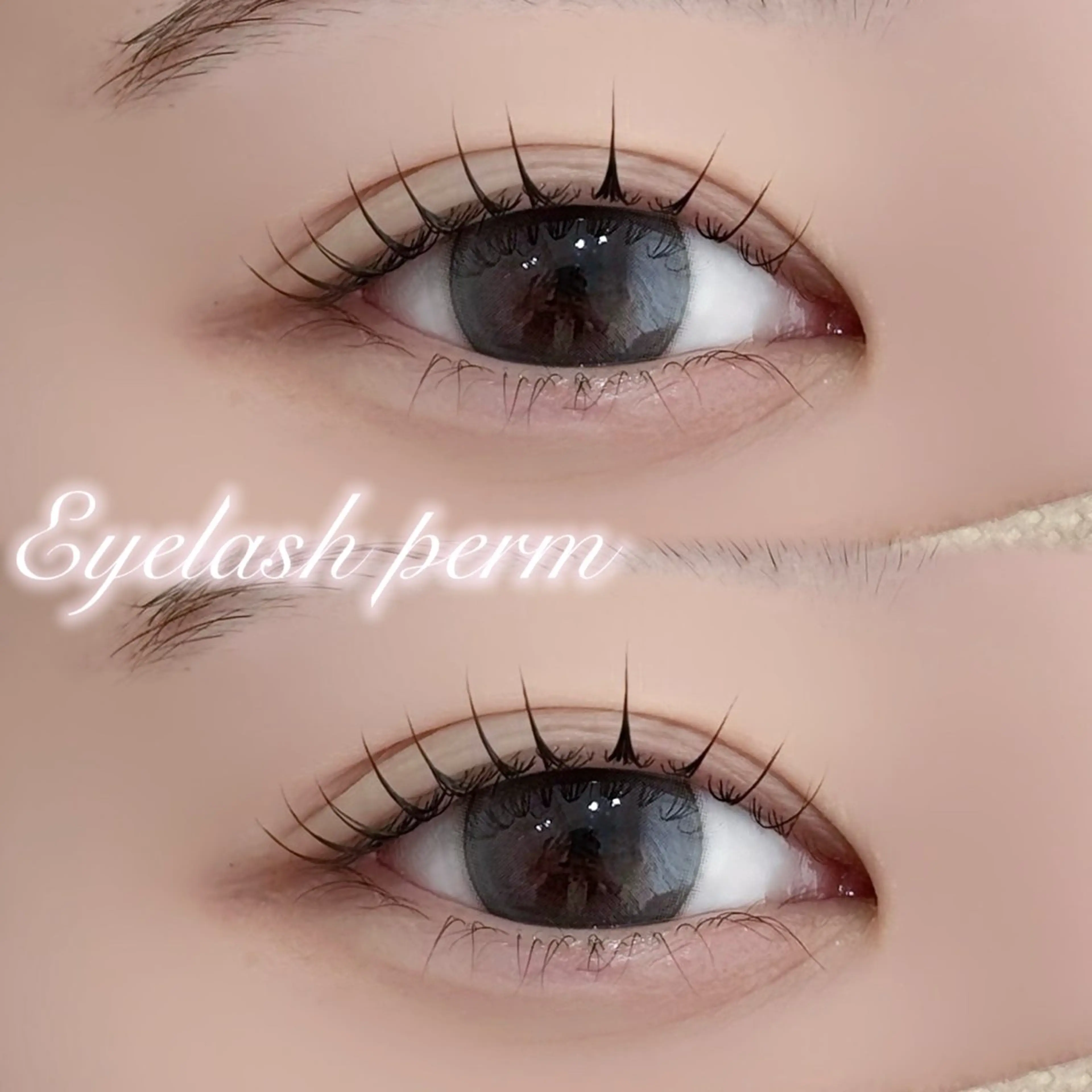 マツエク・マツパ 一重×まつ毛パーマ マツパ Chaton SUZUKIのマツエク・マツパデザイン