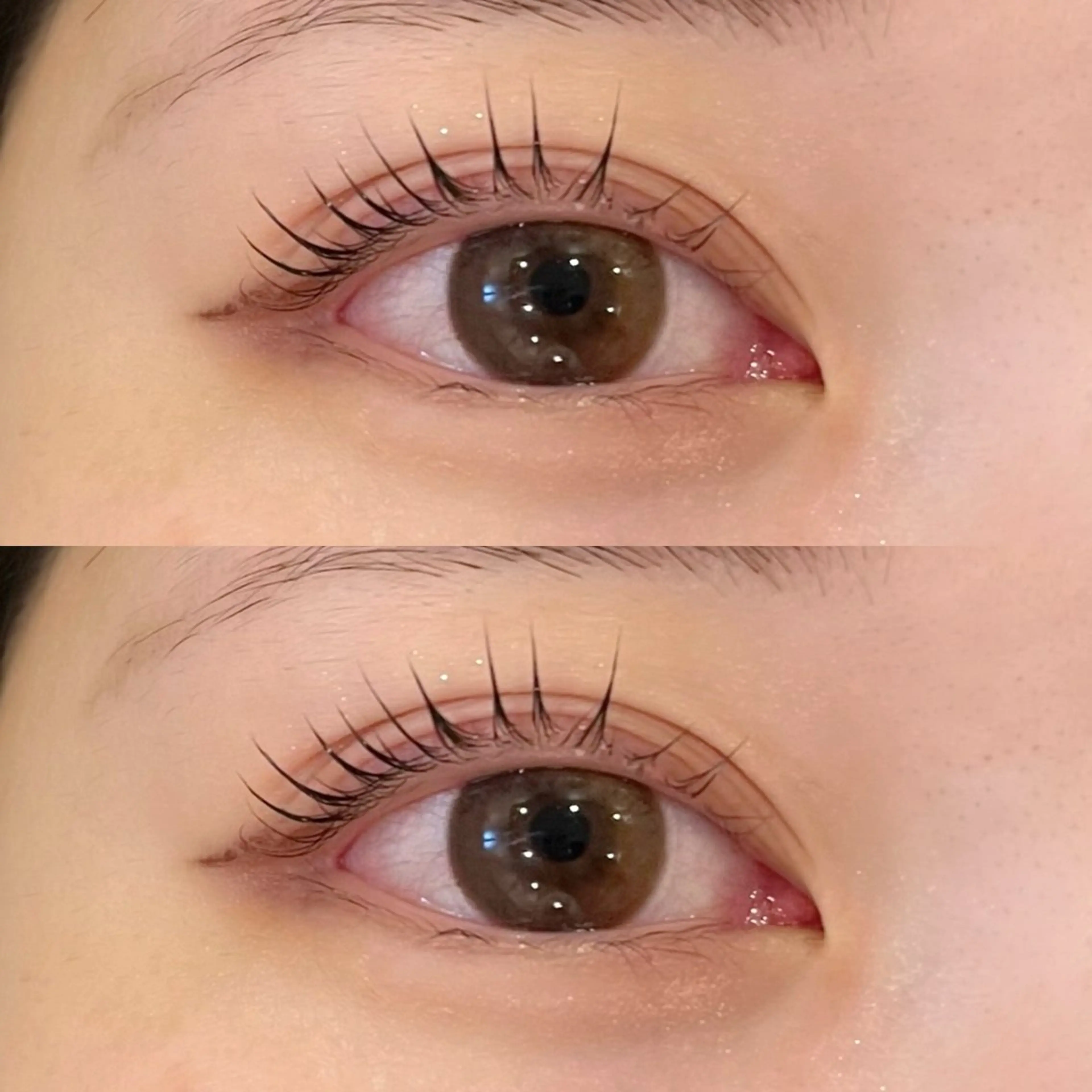 まつ毛カール💚選べるシルエット💞の写真