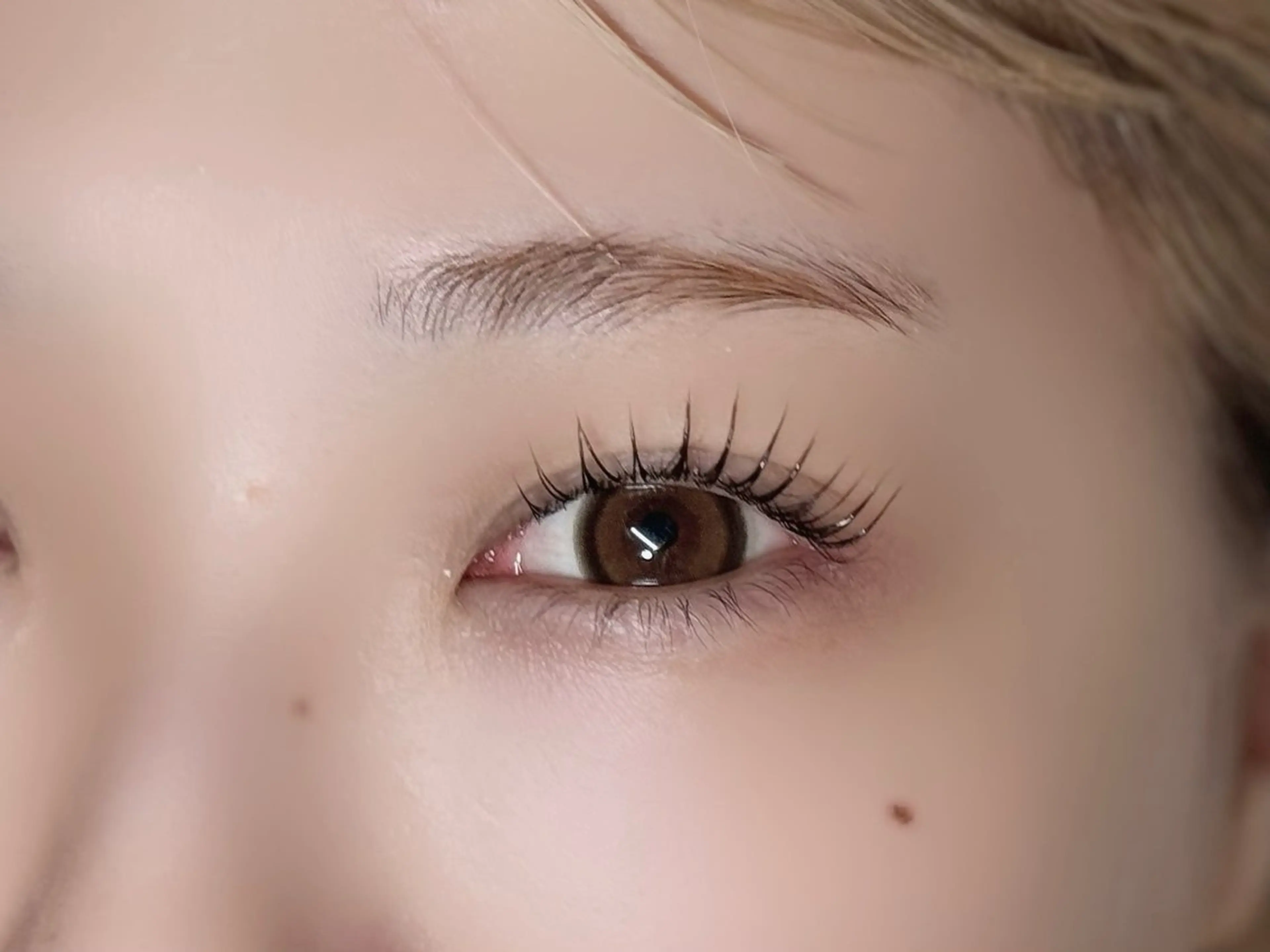 🇰🇷韓国式まつげパーマ🇰🇷  マスカラパーマ+ケラチントリートメントの写真