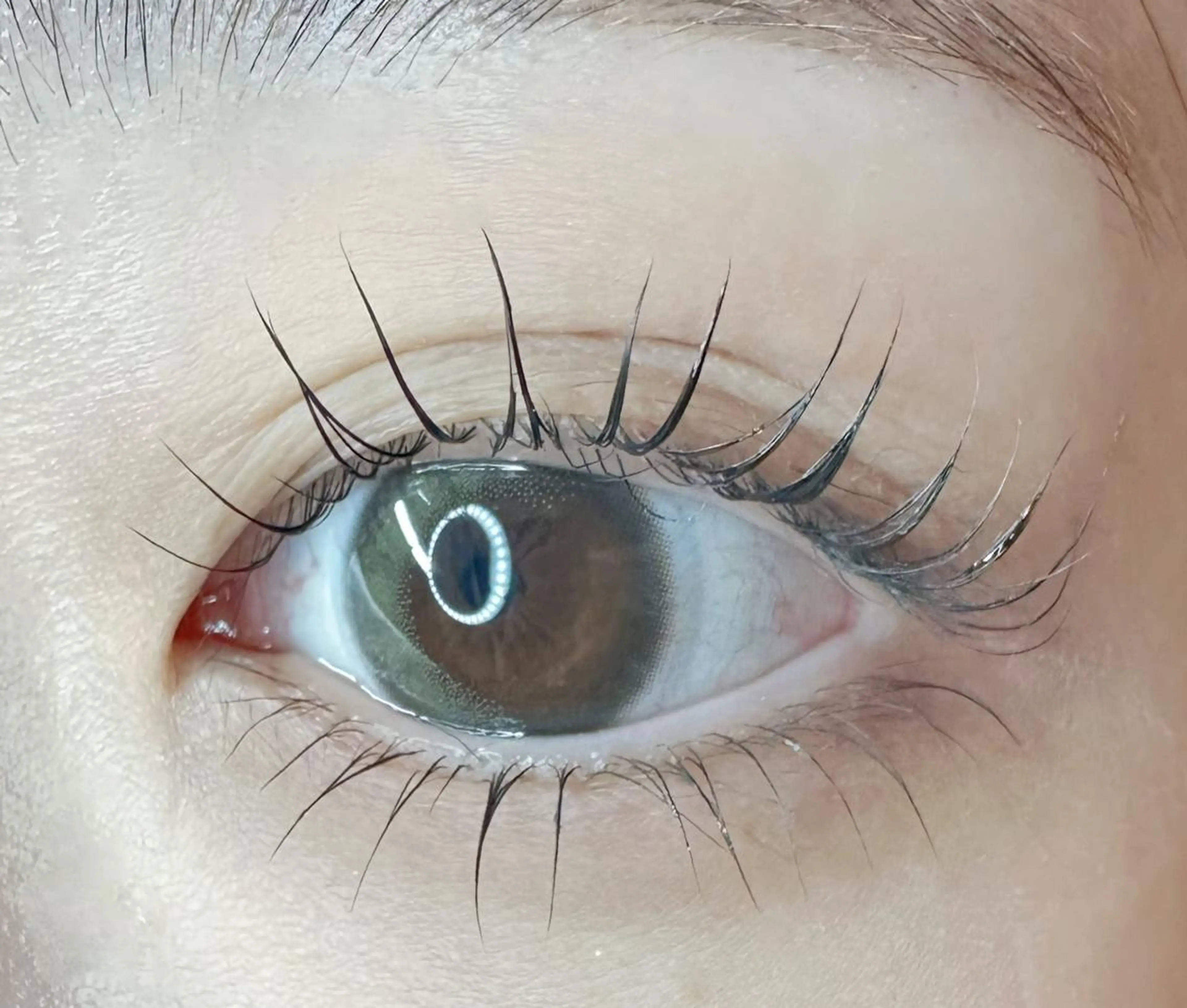 🌸【新規/練習モデル】🌸   👀ラッシュリフト(上下)＋眉毛WAX🐻💗の写真