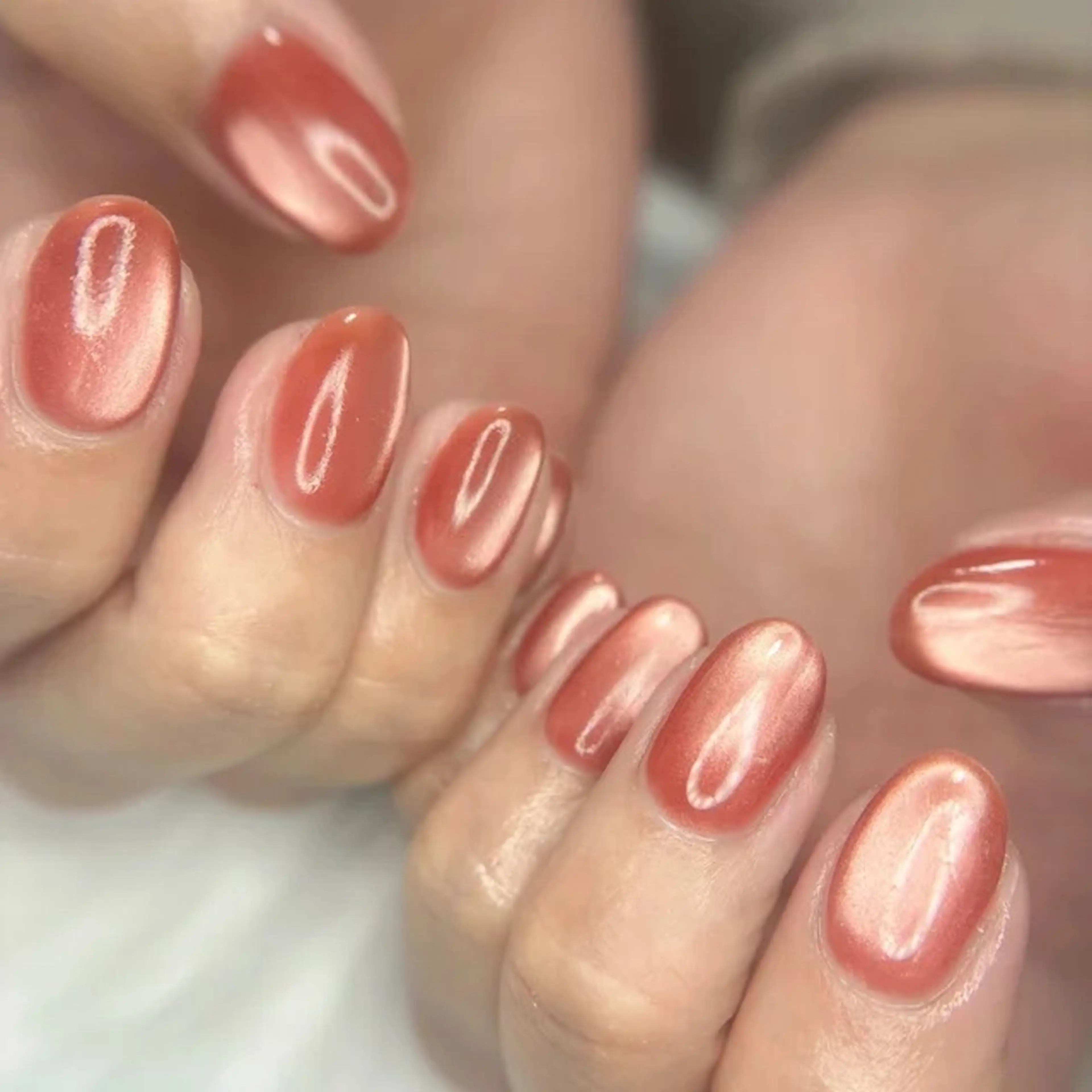 【初回限定】マグネットワンカラー(オフなし)の写真