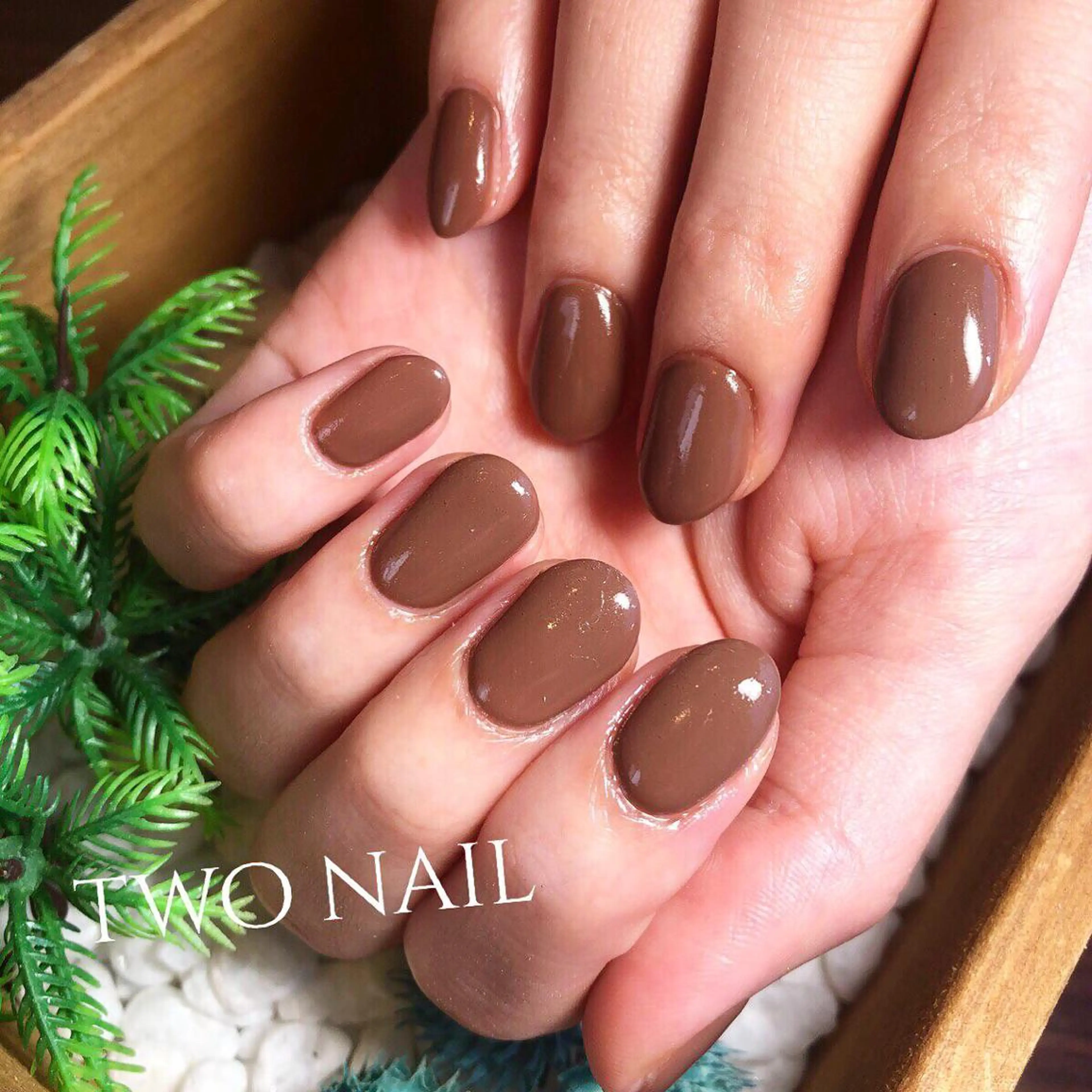 ネイル ブラウン ワンカラーネイル two nailのネイルデザイン
