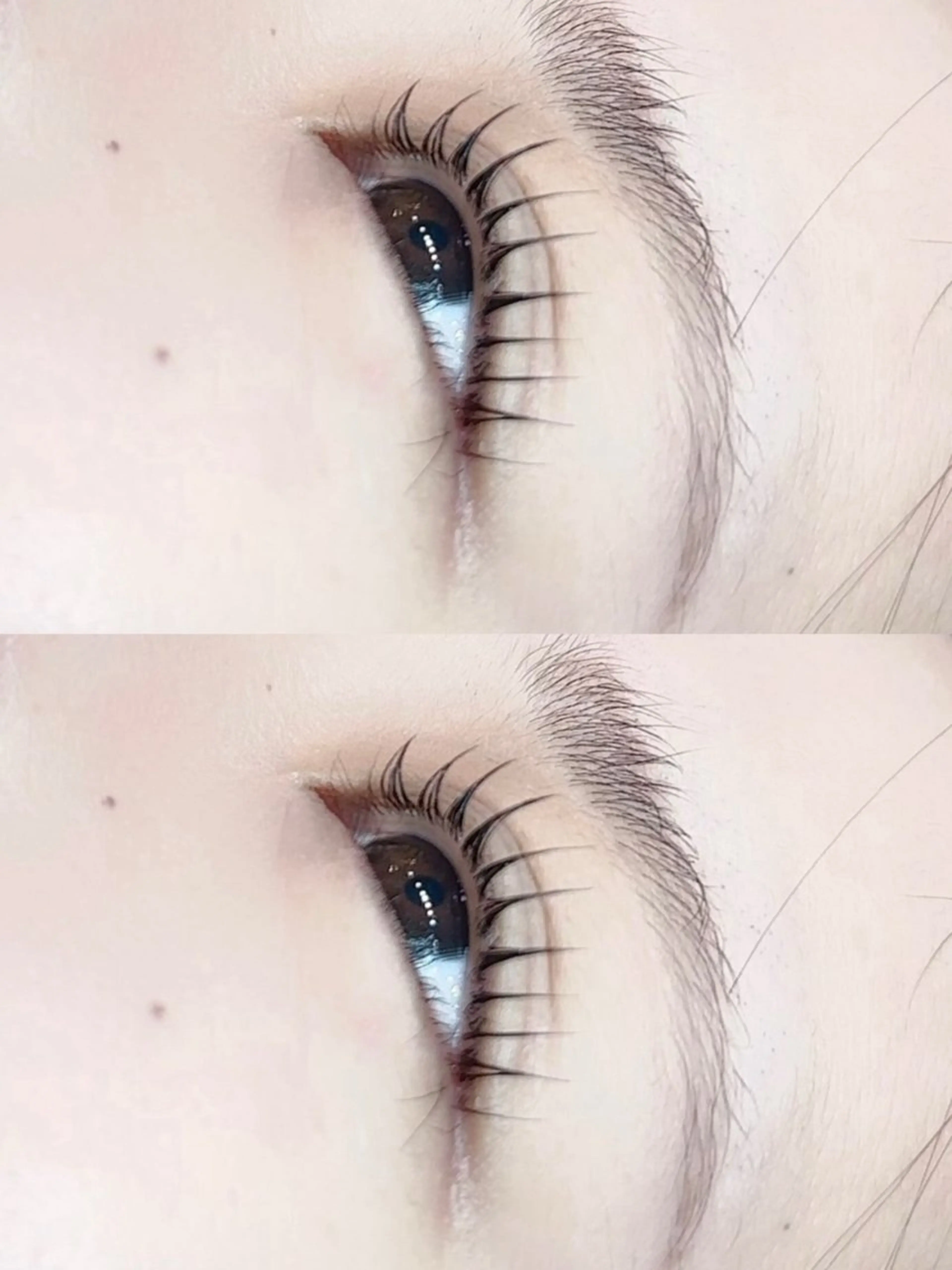 マツエク・マツパ マツパ 🌹ブリランテ🌹 大人気店のマツエク・マツパデザイン