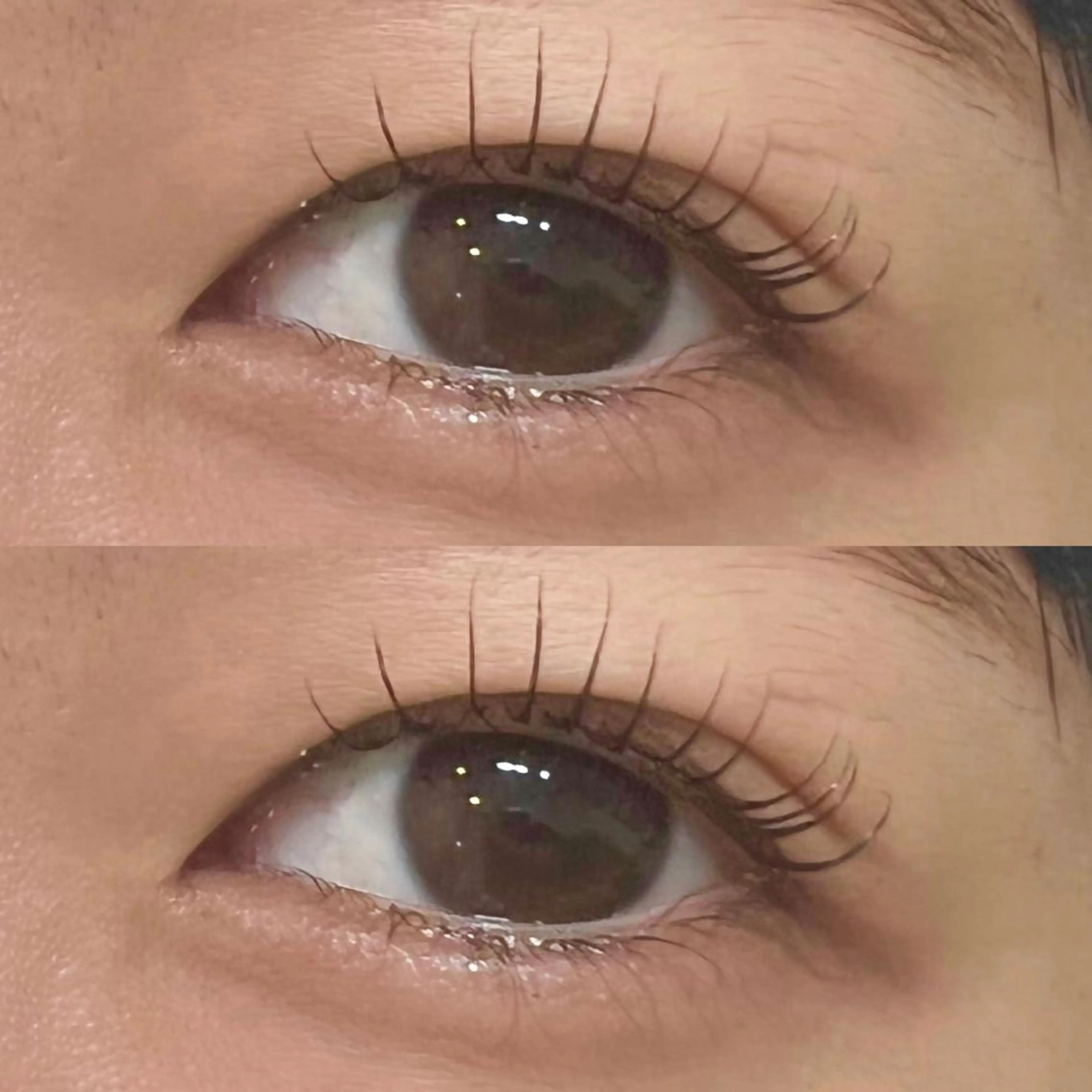 【学生限定】まつげパーマの写真