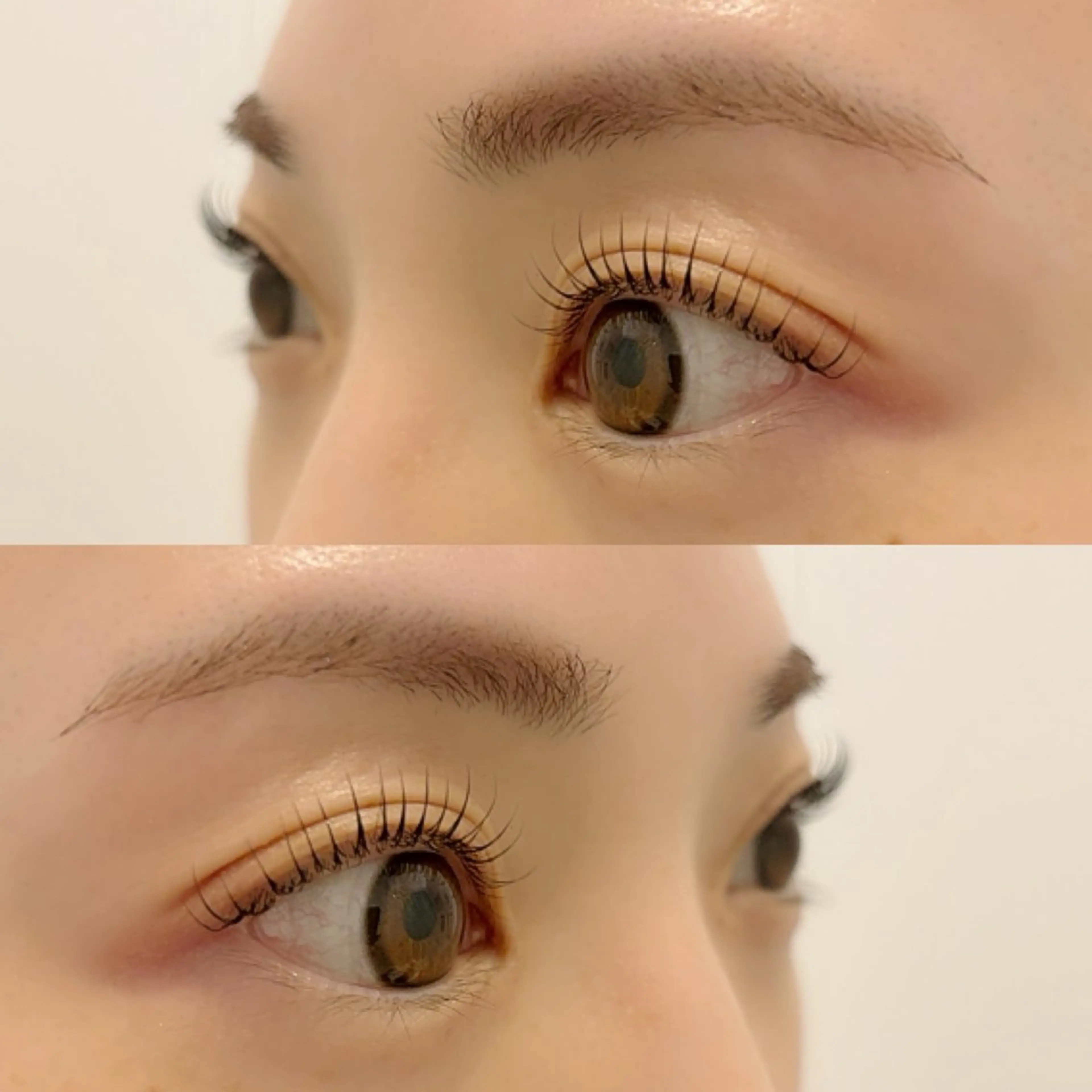 眉毛スタイリング　シートwax脱毛の写真