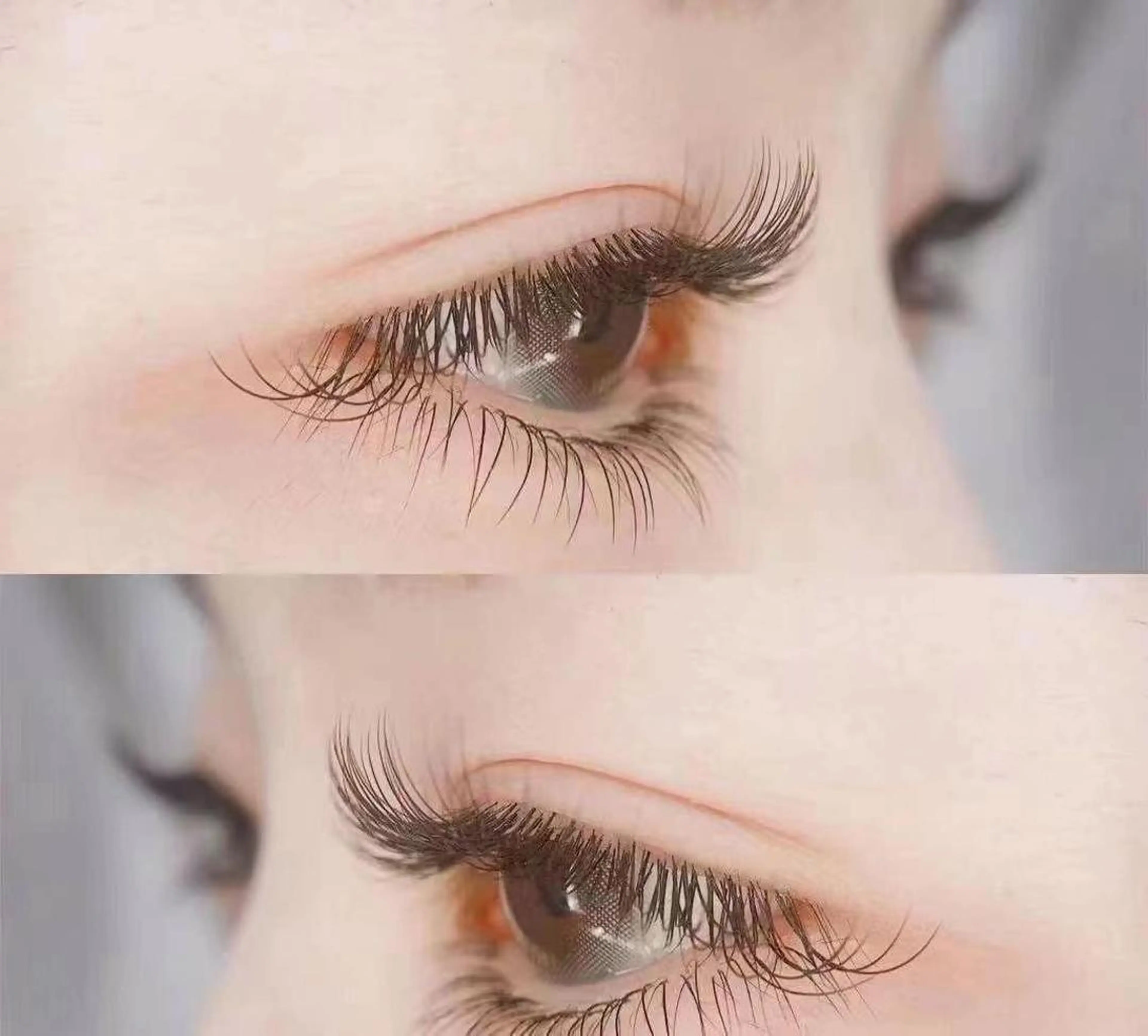 🌹シングルフラットラッシュ100本🌹限定価格4500円💖の写真