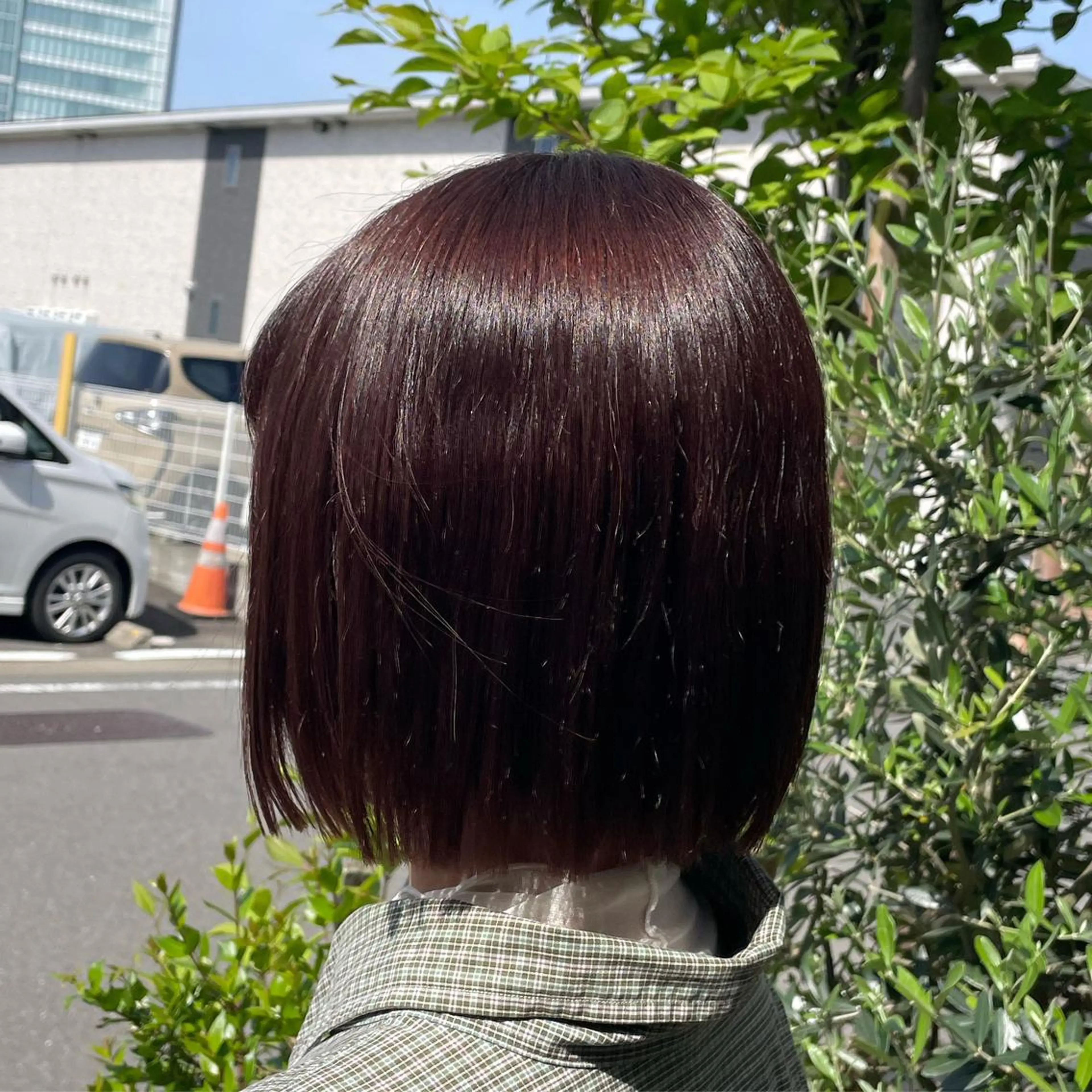 カット＋カラー🐰💖の写真