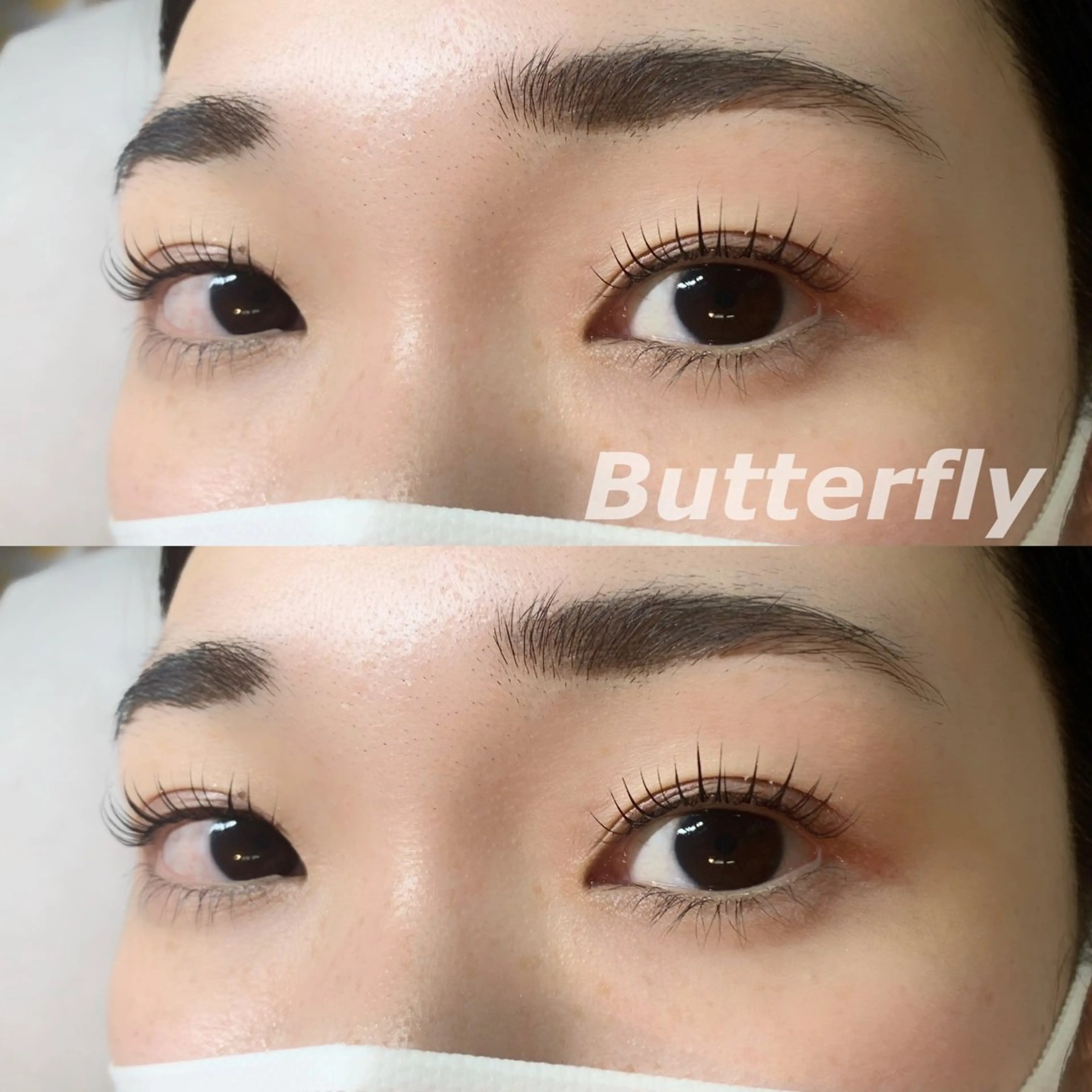 マツエク・マツパ Butterfly 平塚店   横山のマツエク・マツパデザイン