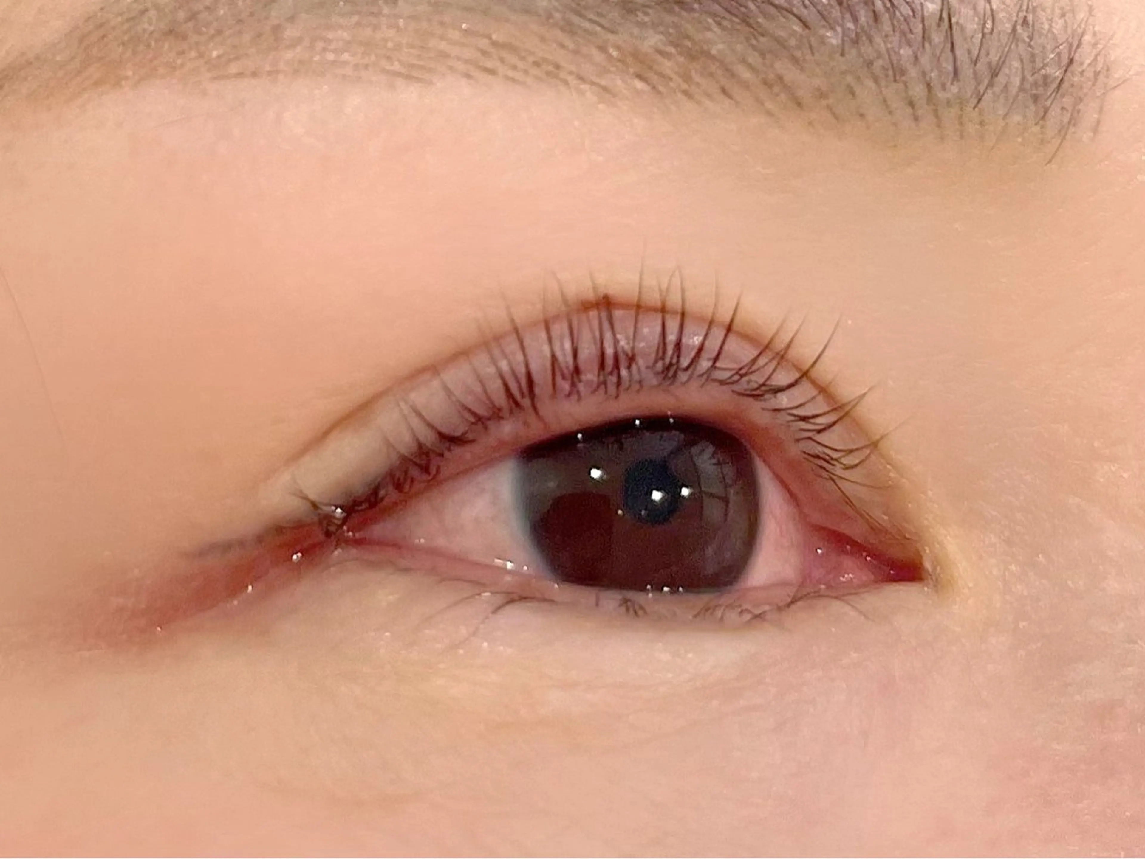 マツエク・マツパ マツパ epill Lenna .🦋のマツエク・マツパデザイン