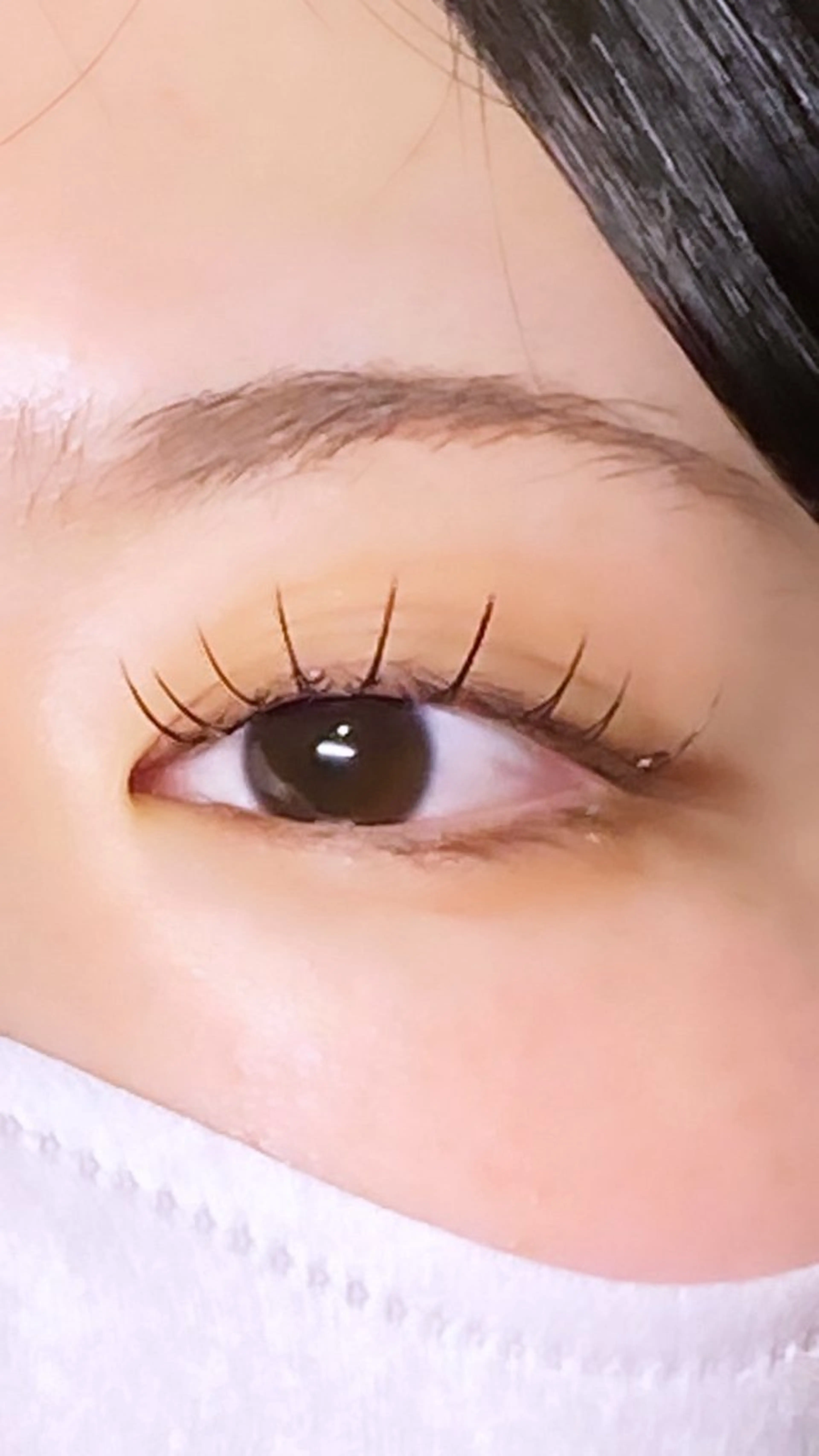 🌟80本🌟【オフ無し】フラットラッシュ¥3500（束仕上げ+200円）の写真