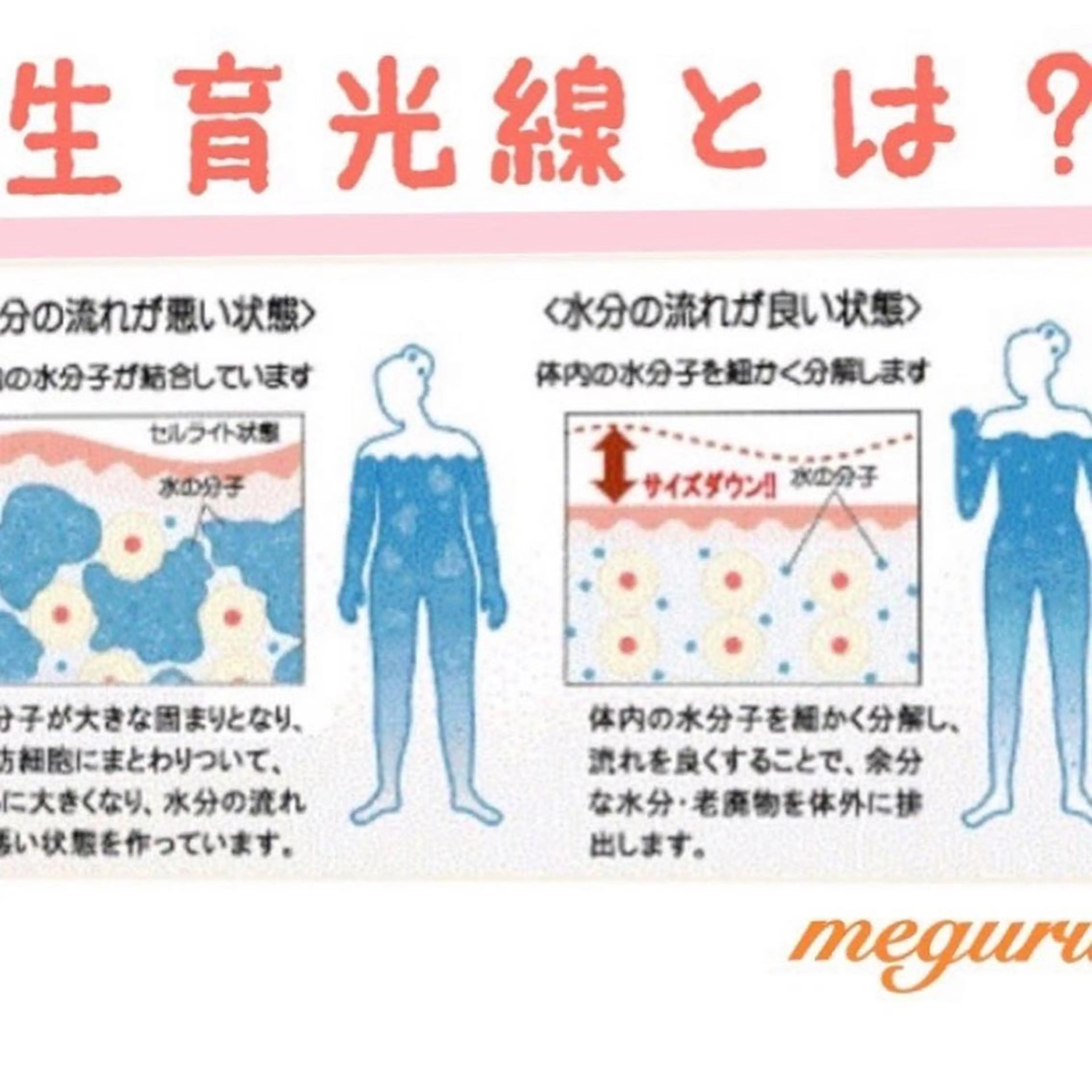 ショート カラー パーマ ヘアアレンジ メンズ キッズ ネイル マツエク・マツパ アイブロウ マットネイル ‍痩身＆ボディ 結果出し🌟丹野のエステ・リラクイメージ