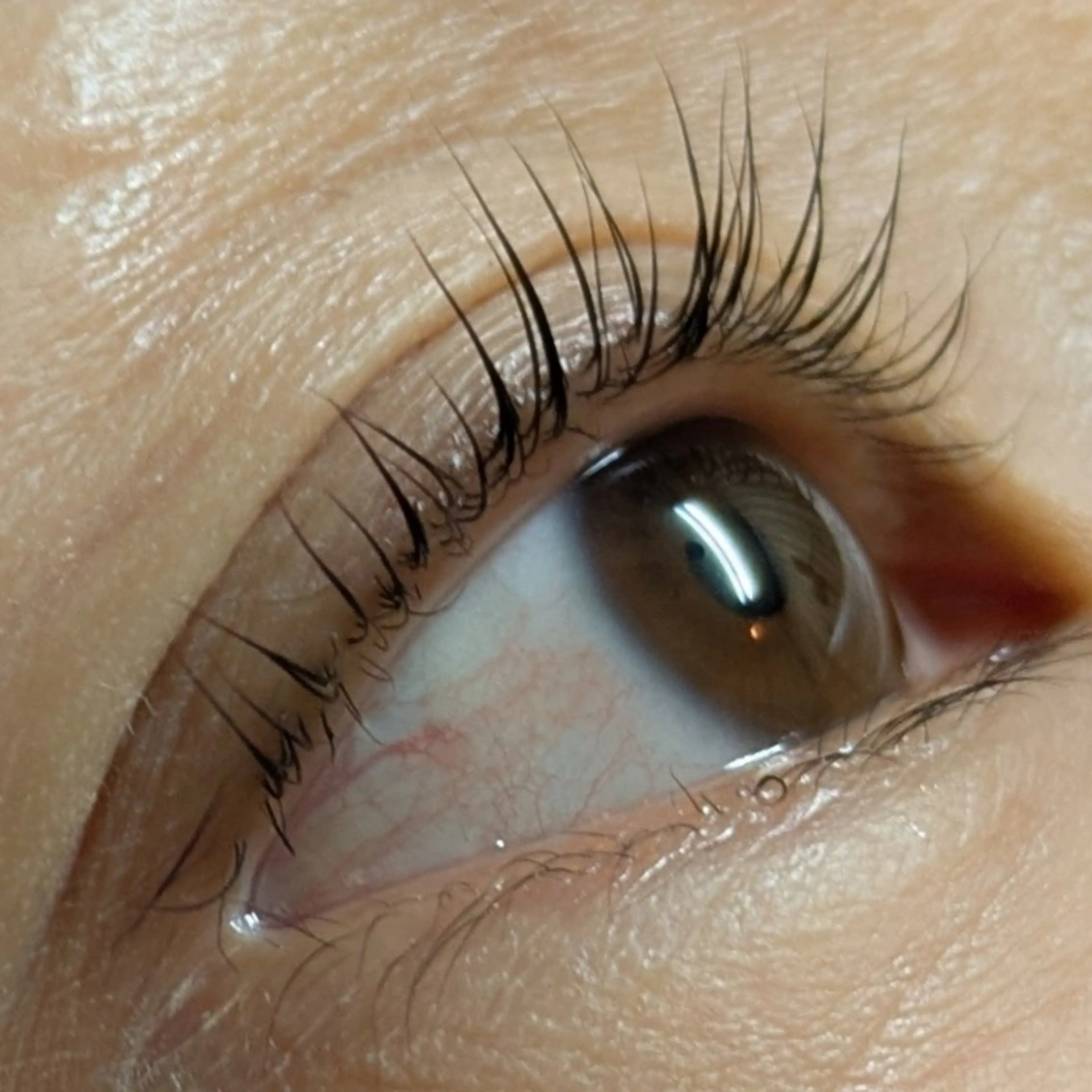 ２回目限定！選べるラッシュリフト💖二回目価格✨️美容液コーティング付きの写真