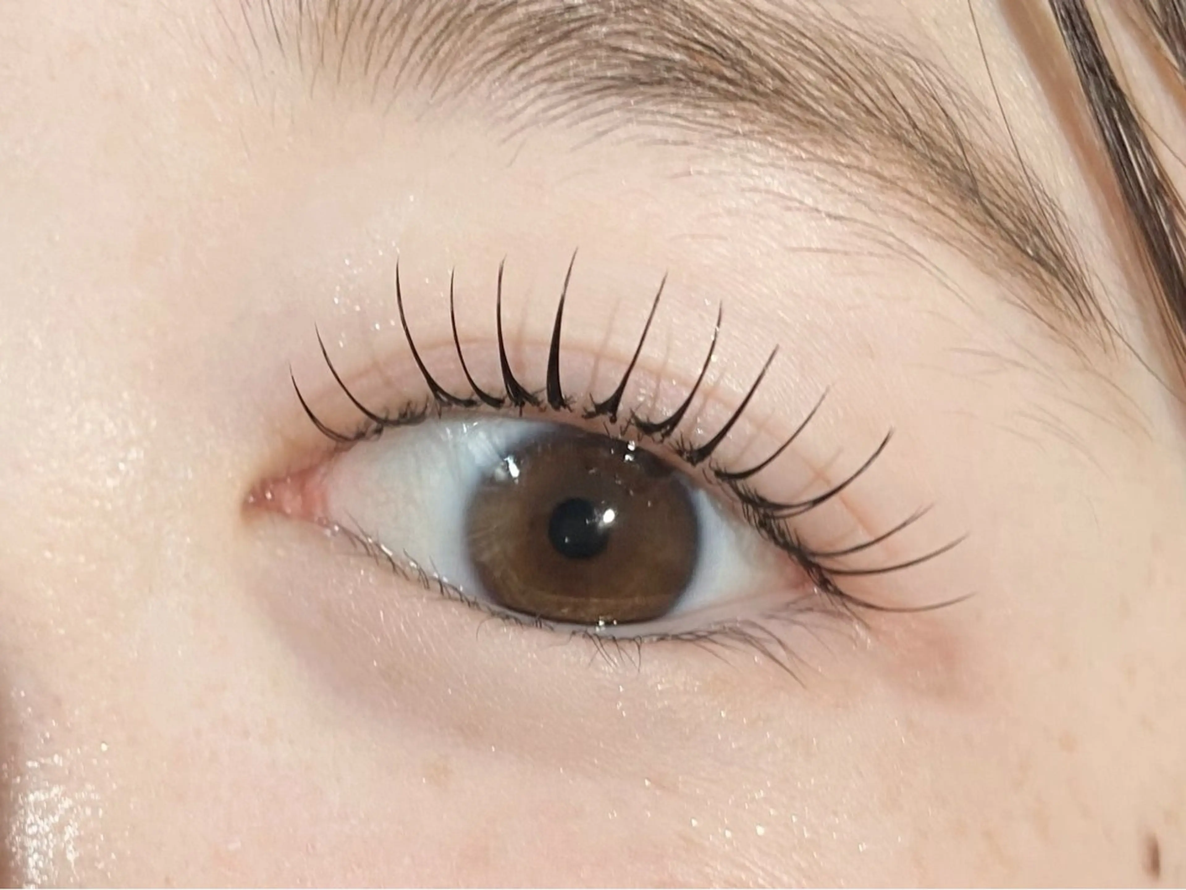 🌸オフなし🌸LEDフラットラッシュ100本［J.C.CC.Lカール］の写真