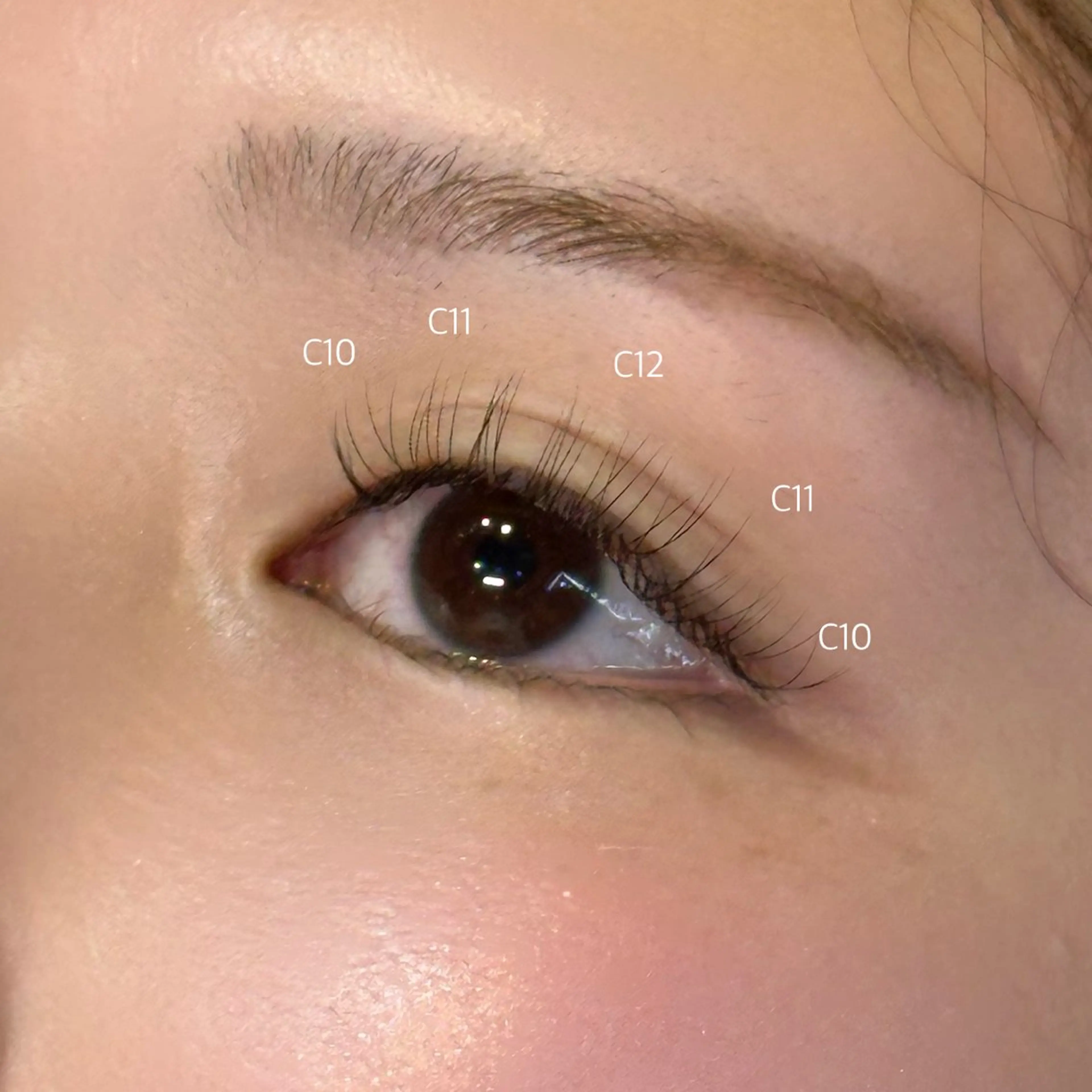 マツエク・マツパ キュート マツエク Shizuki Teradaのマツエク・マツパデザイン