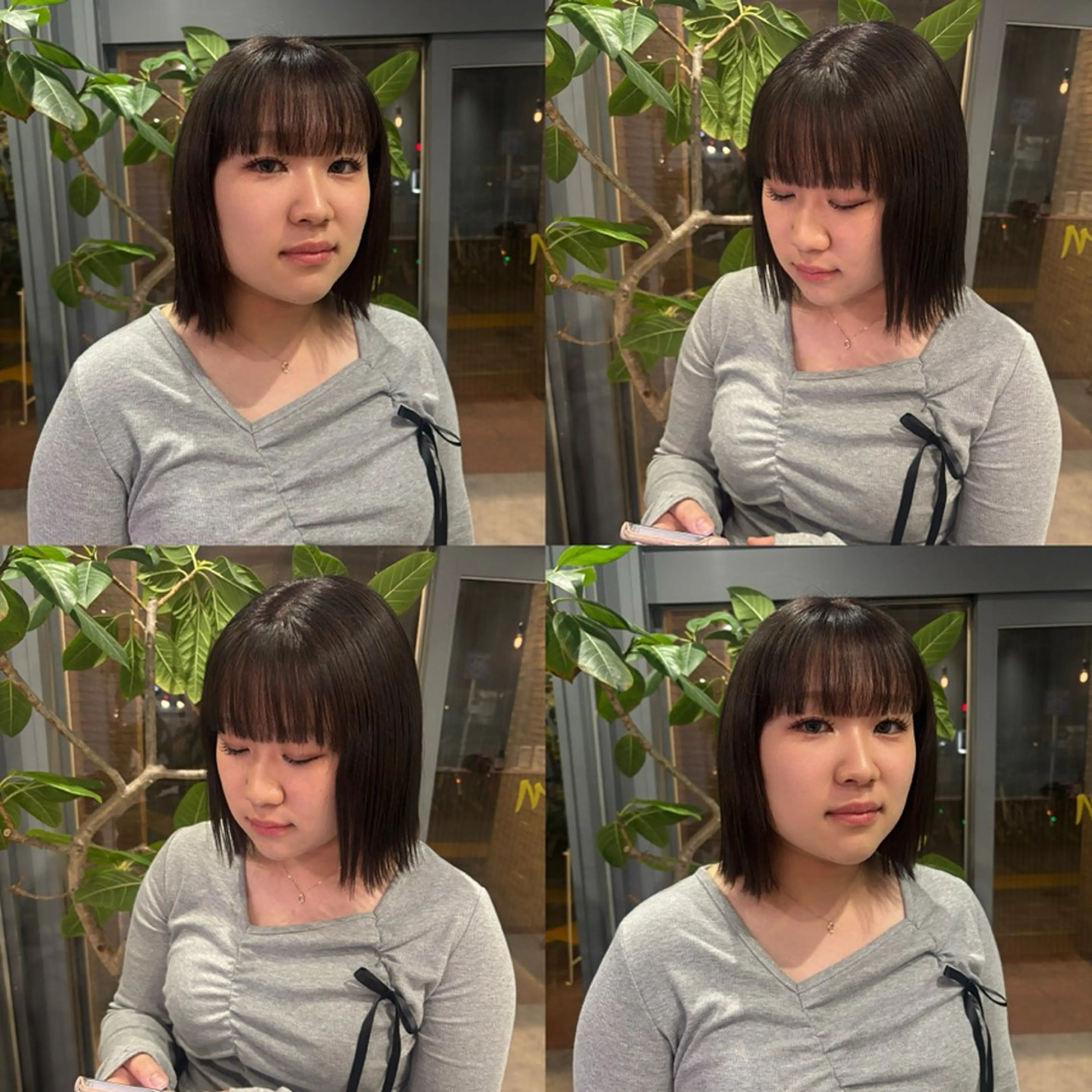 カラー ヘアカラー 🐈‍⬛JUMI /透明感カラー/🩶のヘアスタイル