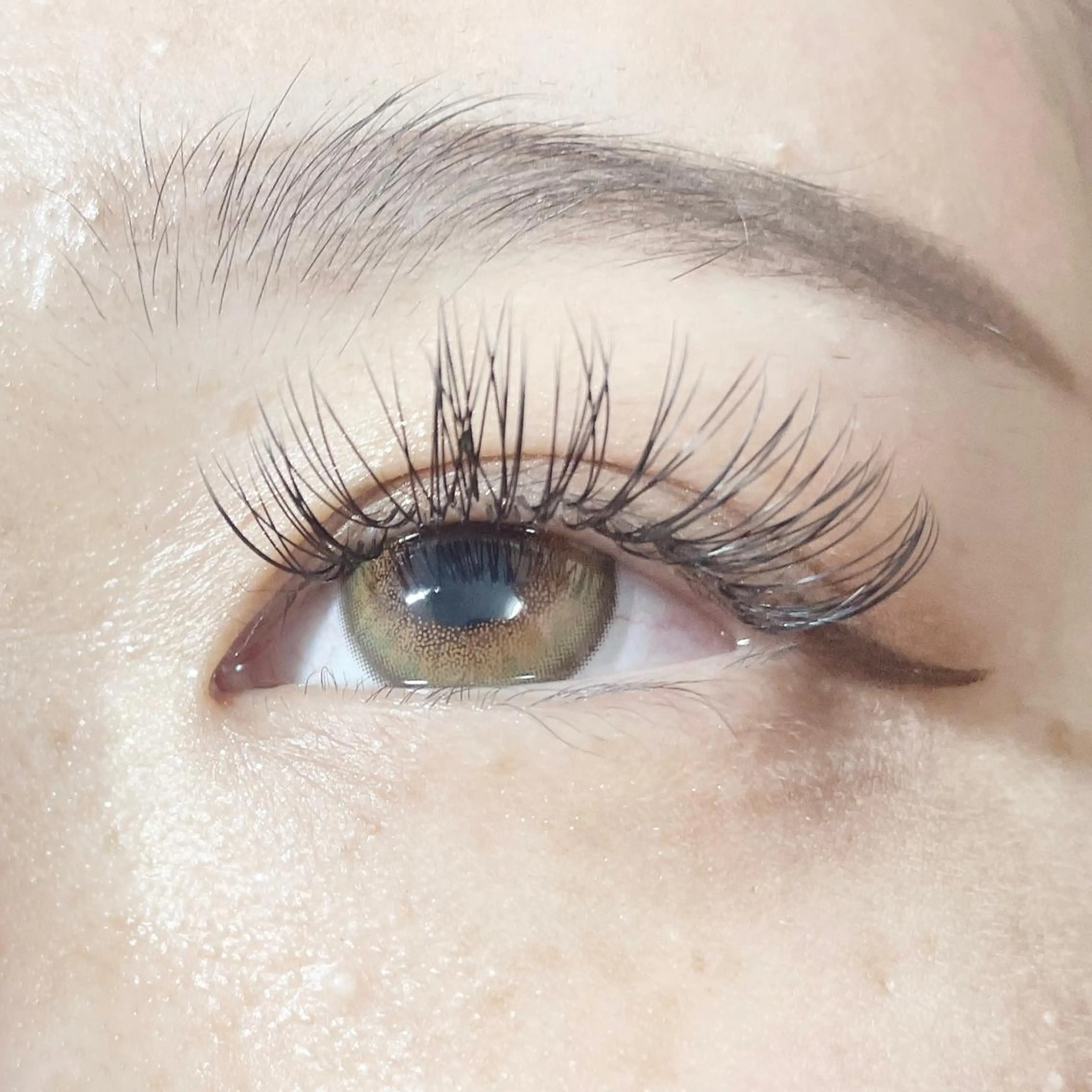 マツエク・マツパ キュート Dカール アイラッシュサロンfleur🍀所属・🍀fleur🍀 束感/ワンホン/杉浦のマツエク・マツパデザイン