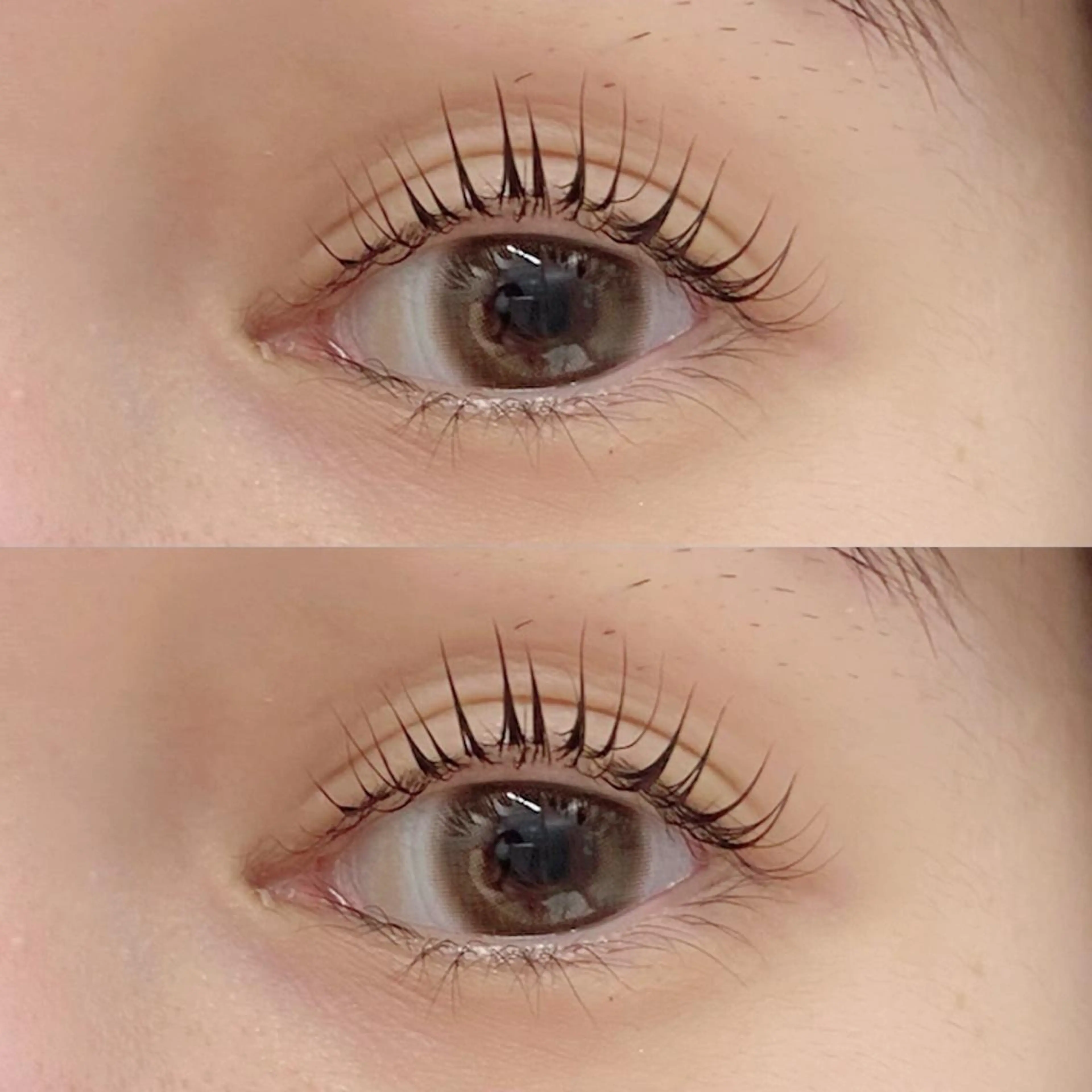 マツエク・マツパ Favori 川上のマツエク・マツパデザイン