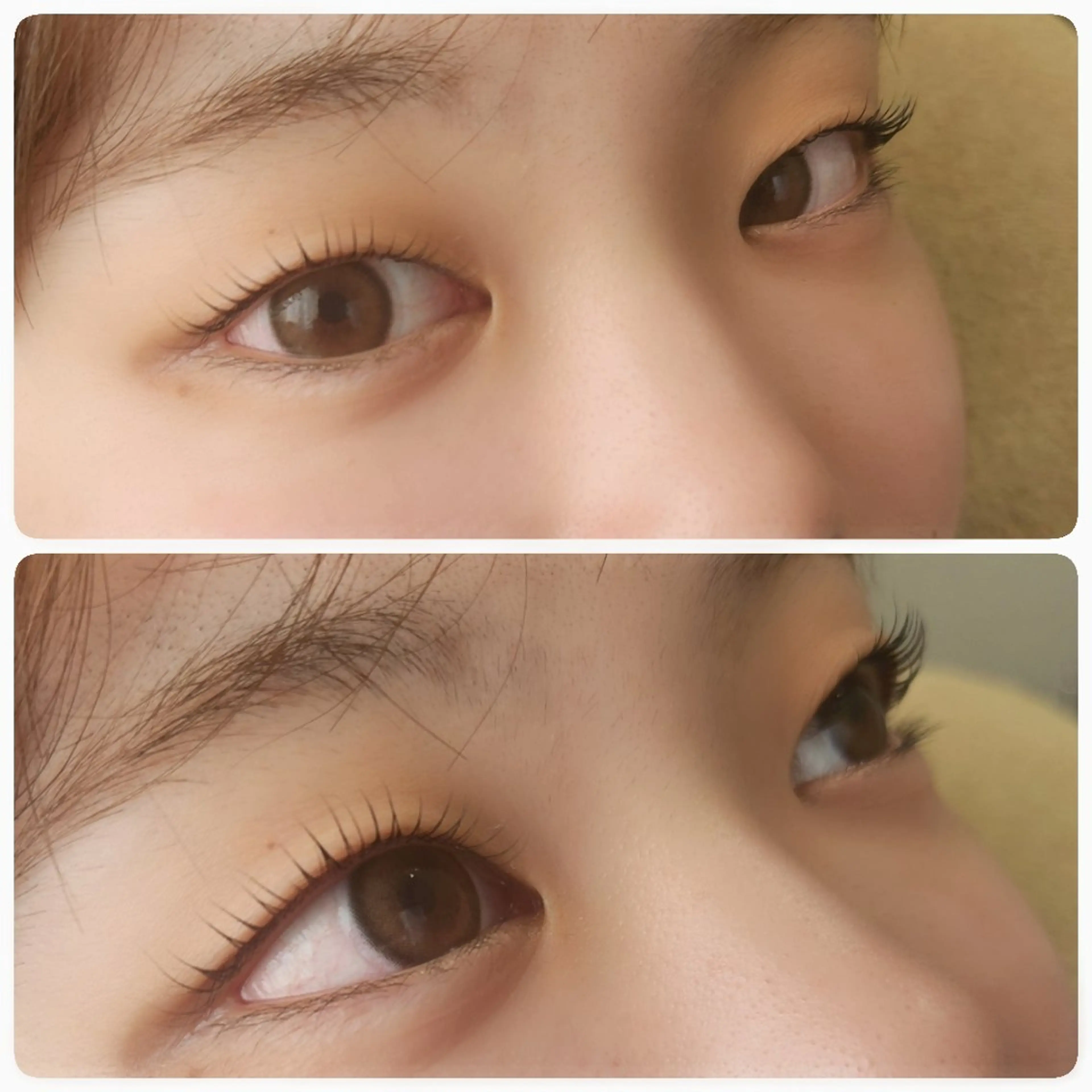 マツエク・マツパ 一重×まつ毛パーマ マツパ beautysalon ASHA所属・ASHA ikumiのマツエク・マツパデザイン