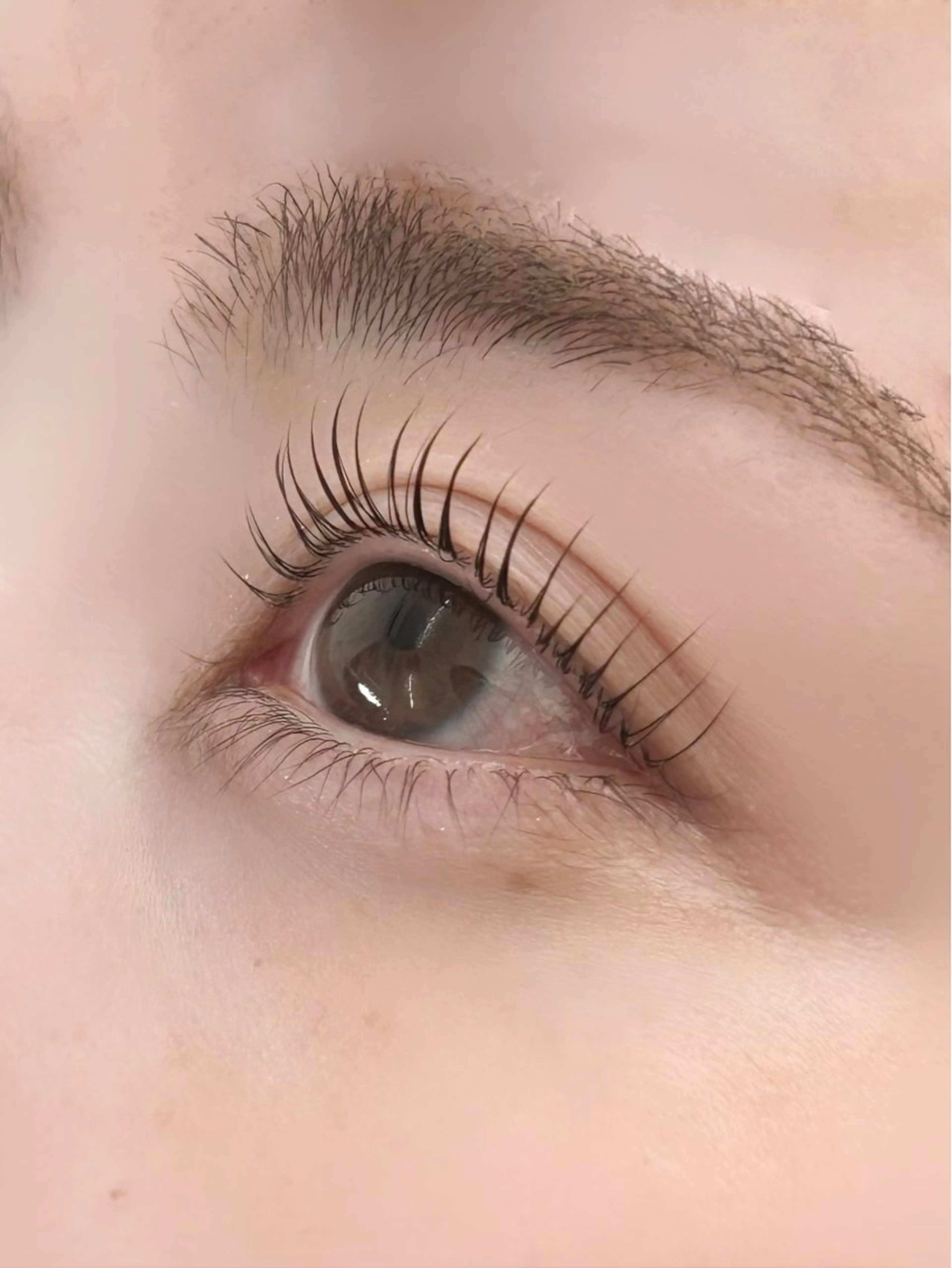 【リピーター様限定🐈‍⬛】韓国風束感マスカラパーマの写真