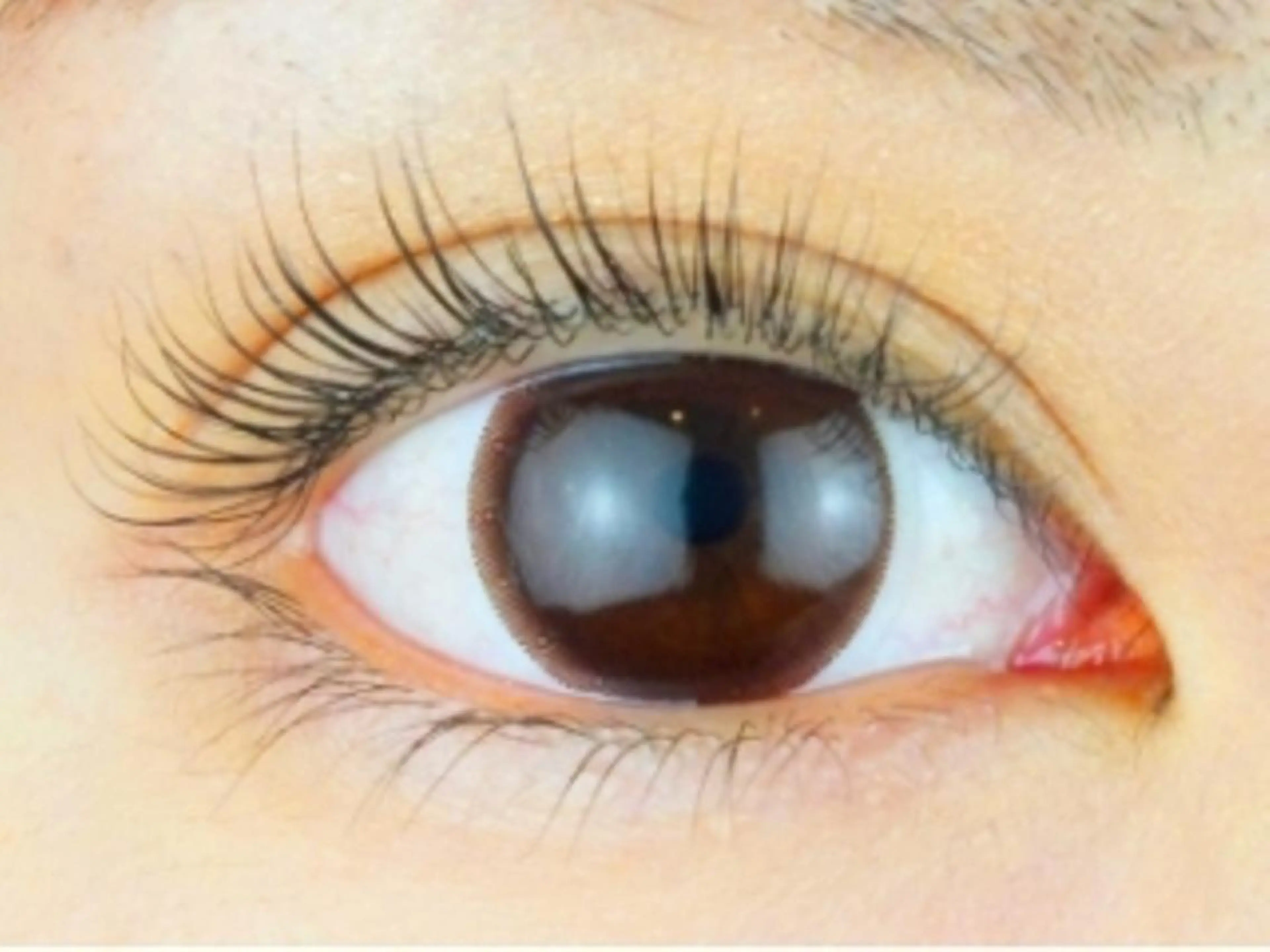 マツエク・マツパ ナチュラル マツパ aJyu アジュ所属・漢方温熱まつげ眉毛 痛いドライヘッドスパのマツエク・マツパデザイン