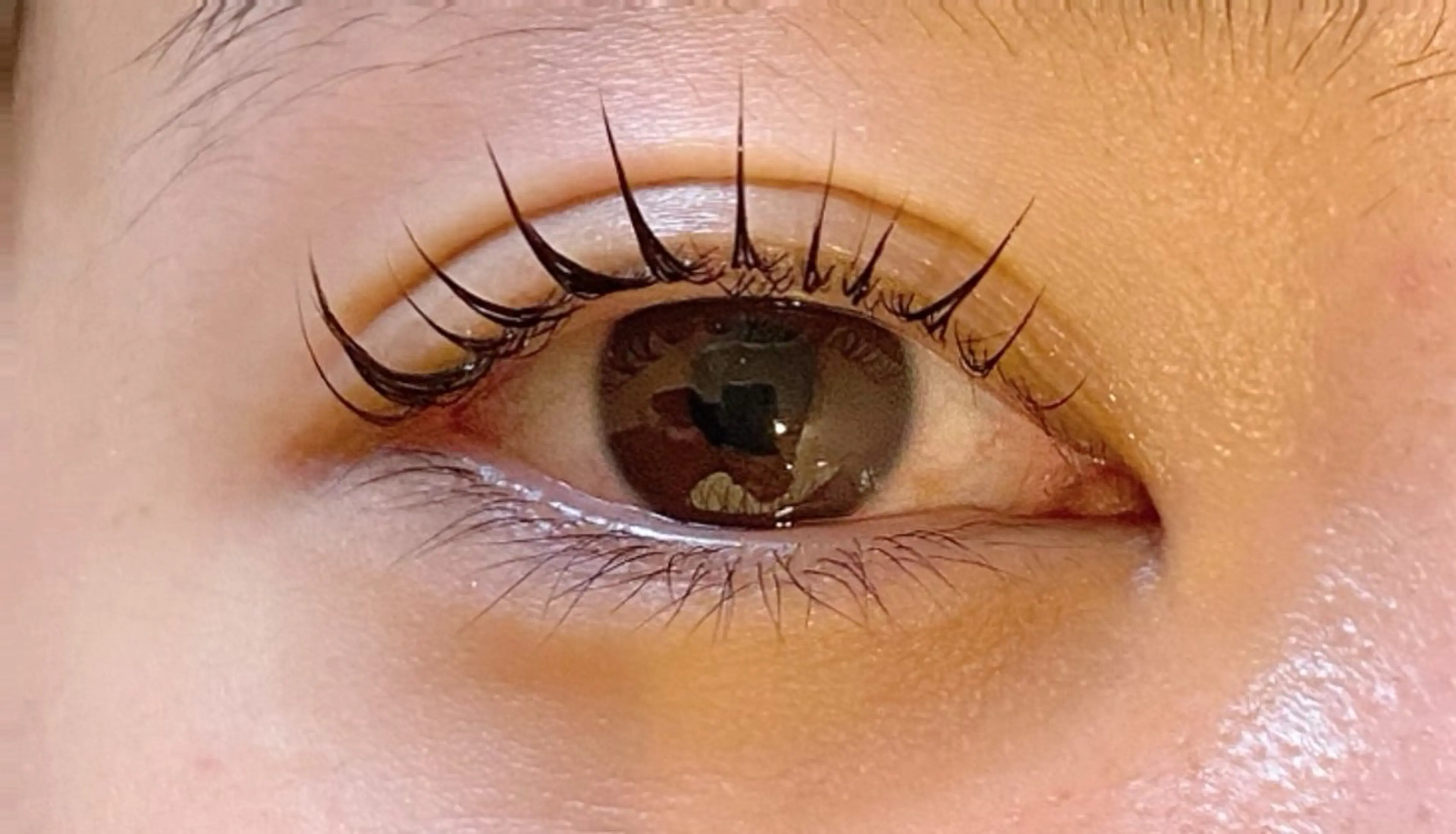 マツエク・マツパ 束感まつ毛 韓国風マツエク マツパ Jessica 清水🎀✨のエステ・リラクイメージ