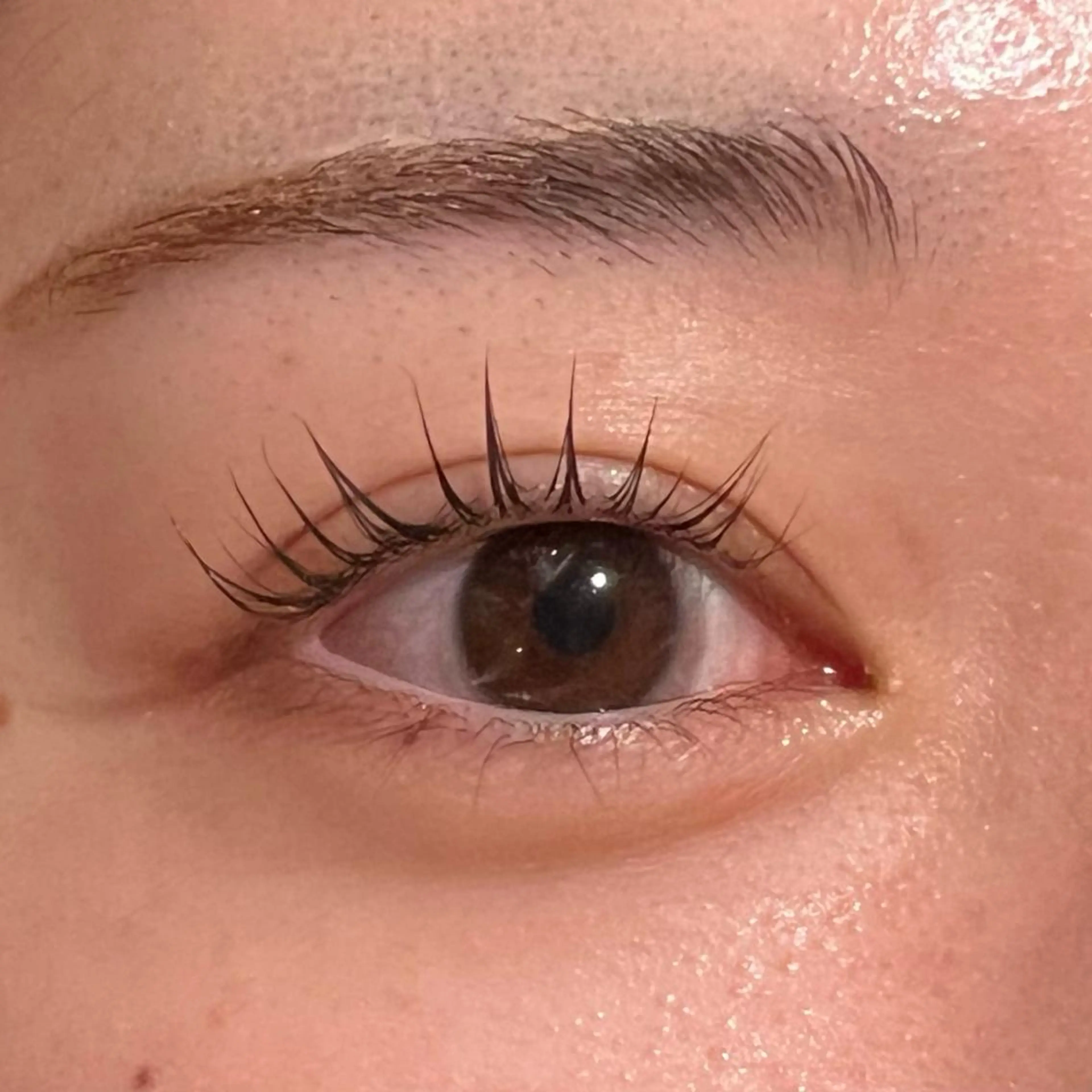 マツエク・マツパ 韓国風マツエク パリジェンヌラッシュリフト 一重×まつ毛パーマ 𝙎𝙚𝙞𝙧𝙖 ☆カット/パーマのヘアスタイル