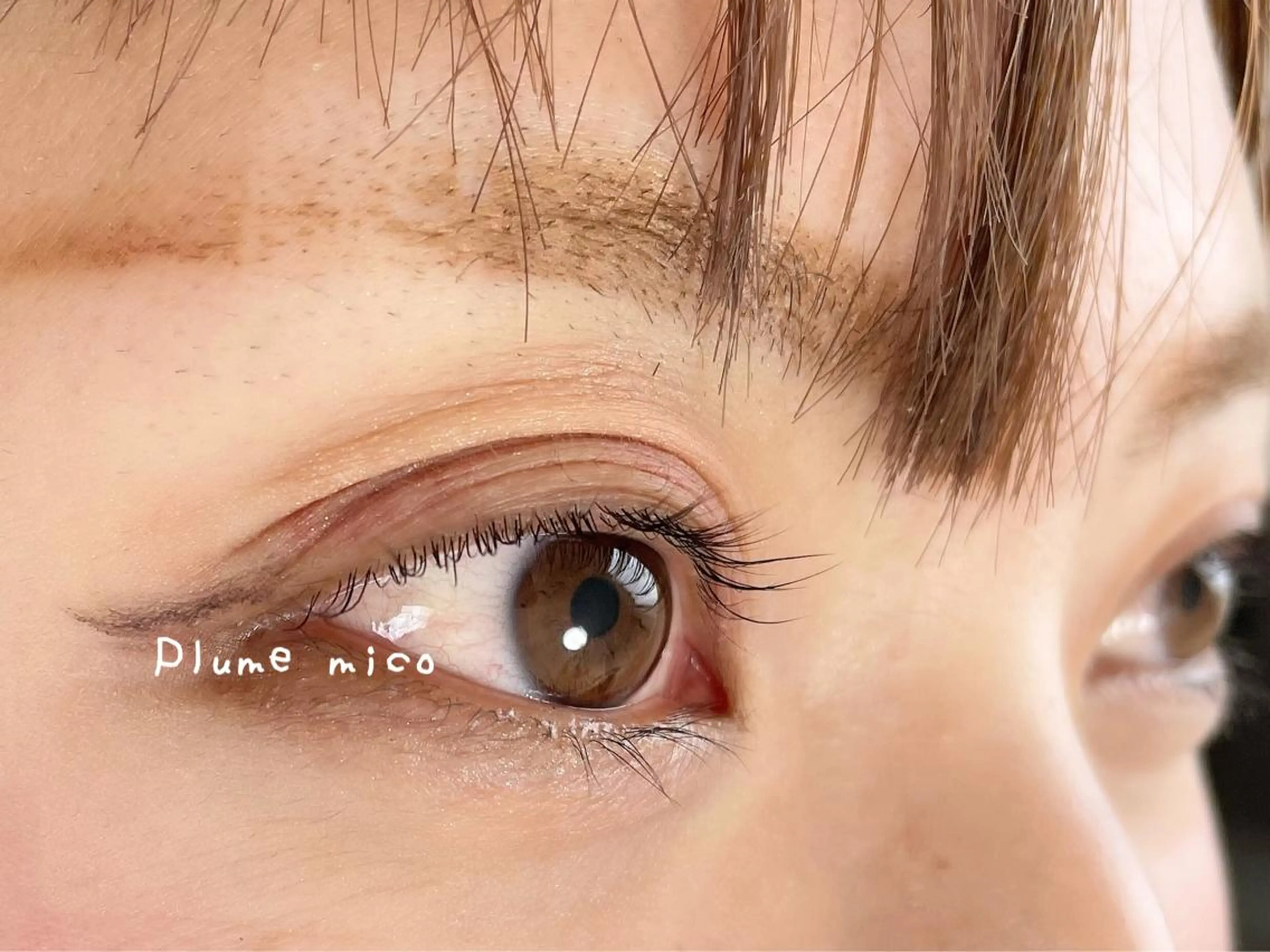 マツエク・マツパ マツパ Plume micoのマツエク・マツパデザイン