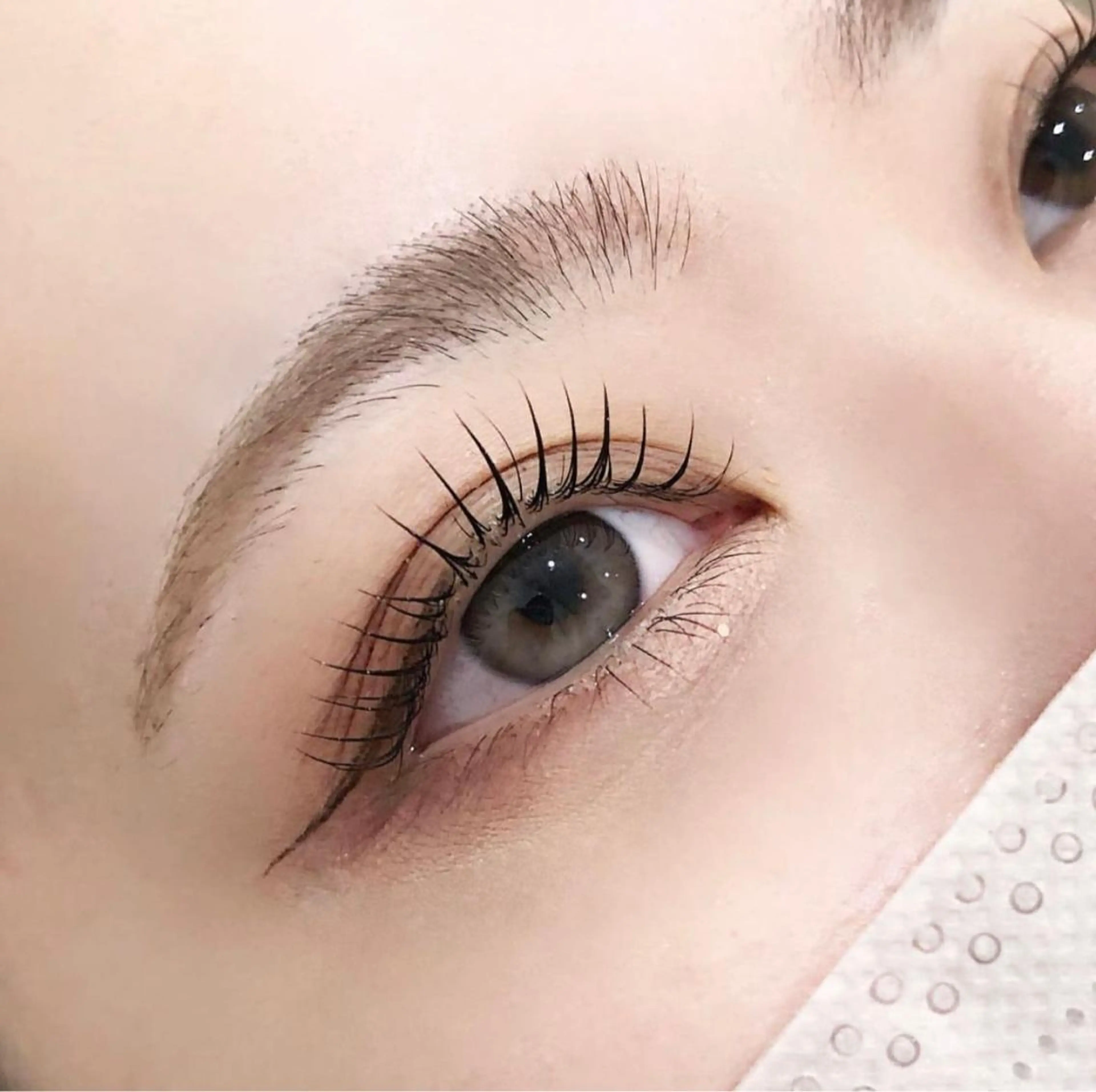 【4回目以後の方】⚠︎電話予約⚠︎🌿パリジェンヌ¥5500🌿+トリートメント付き❤︎※補足必須の写真