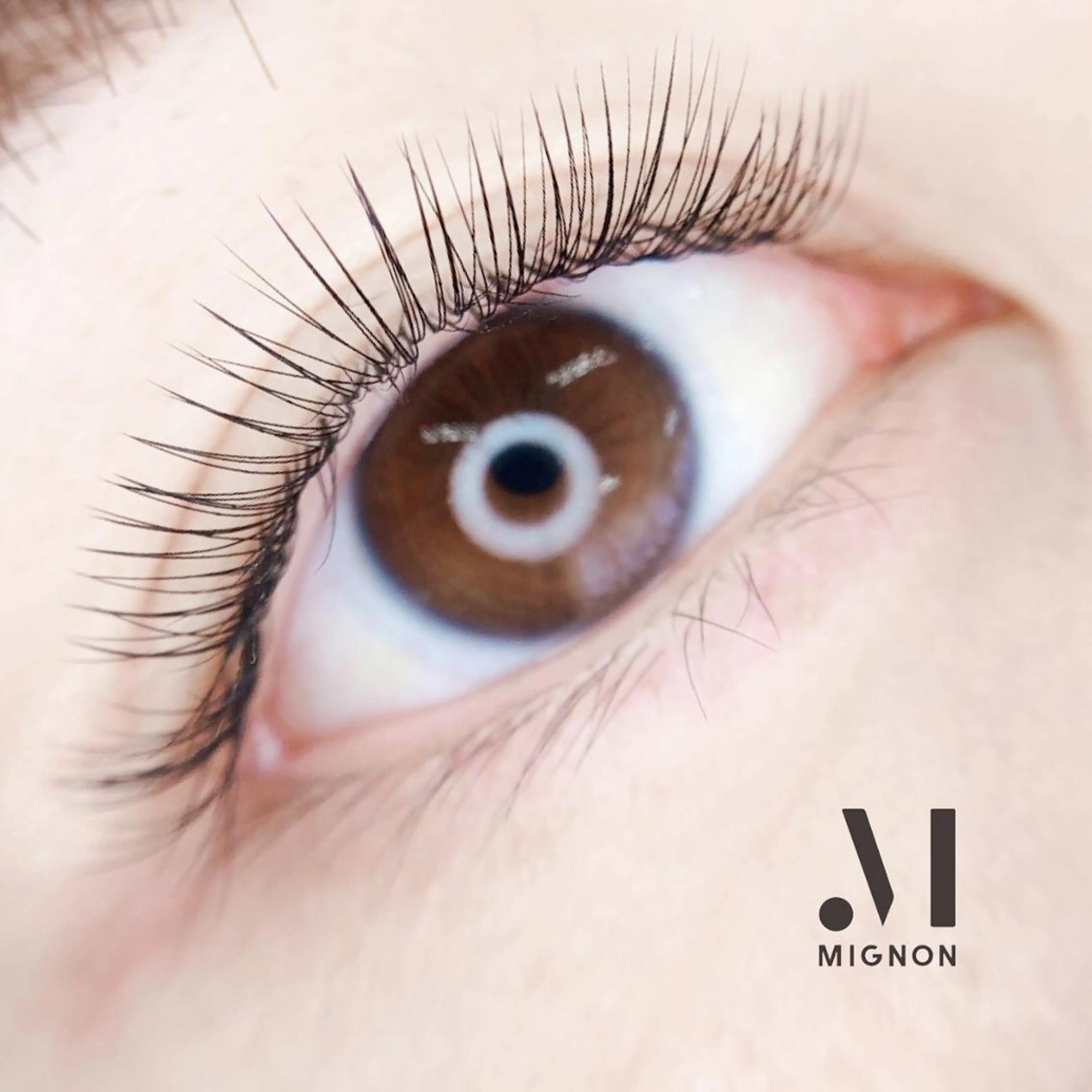 マツエク・マツパ マツエク MIGNON 冨田　当日予約のみのマツエク・マツパデザイン