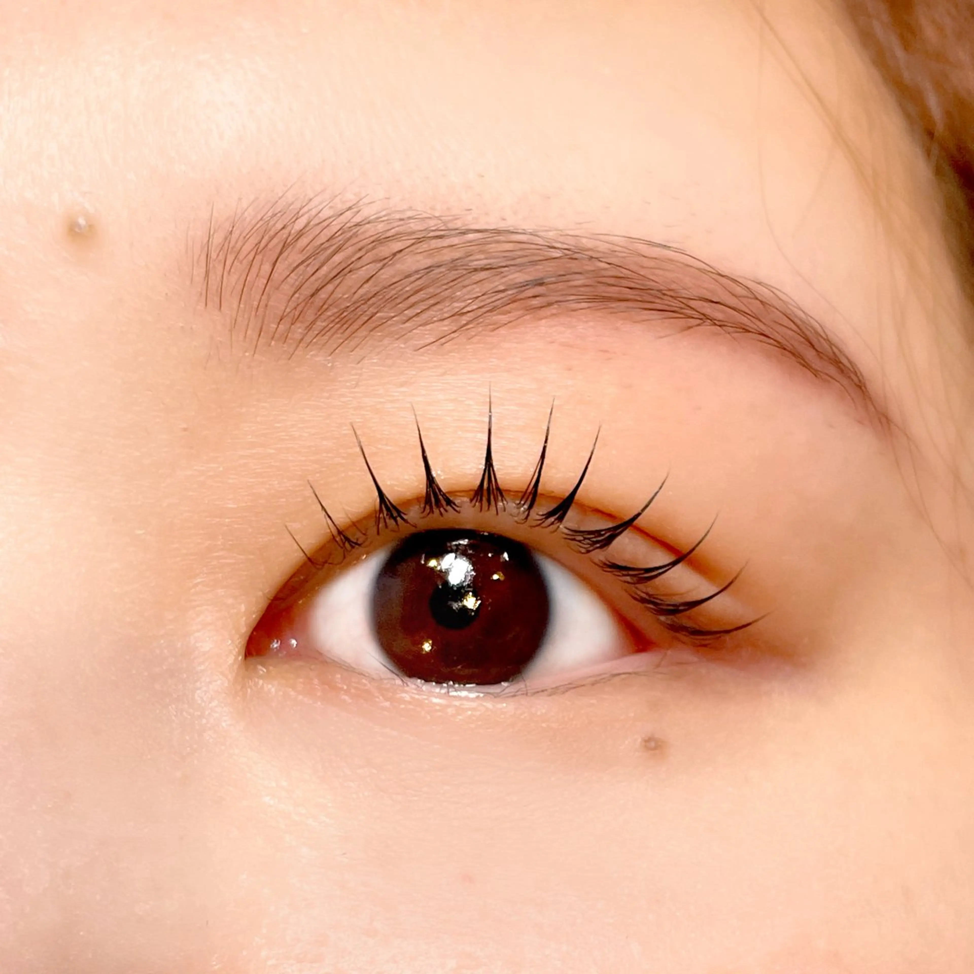 マツエク・マツパ N(エヌ) 中村のマツエク・マツパデザイン