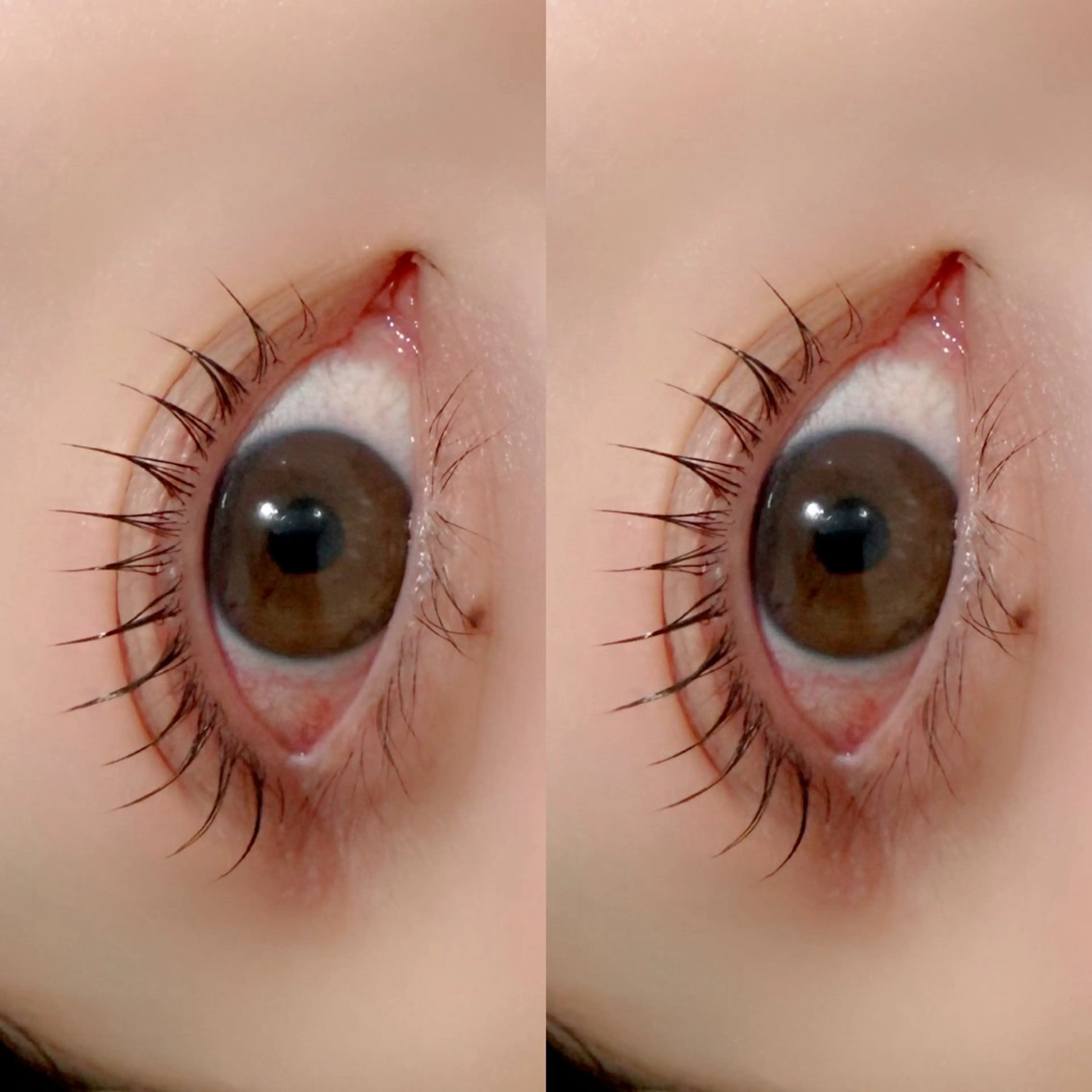 マツエク・マツパ マツパ 京橋/束感まつ毛& LED🦋藤本加奈のマツエク・マツパデザイン