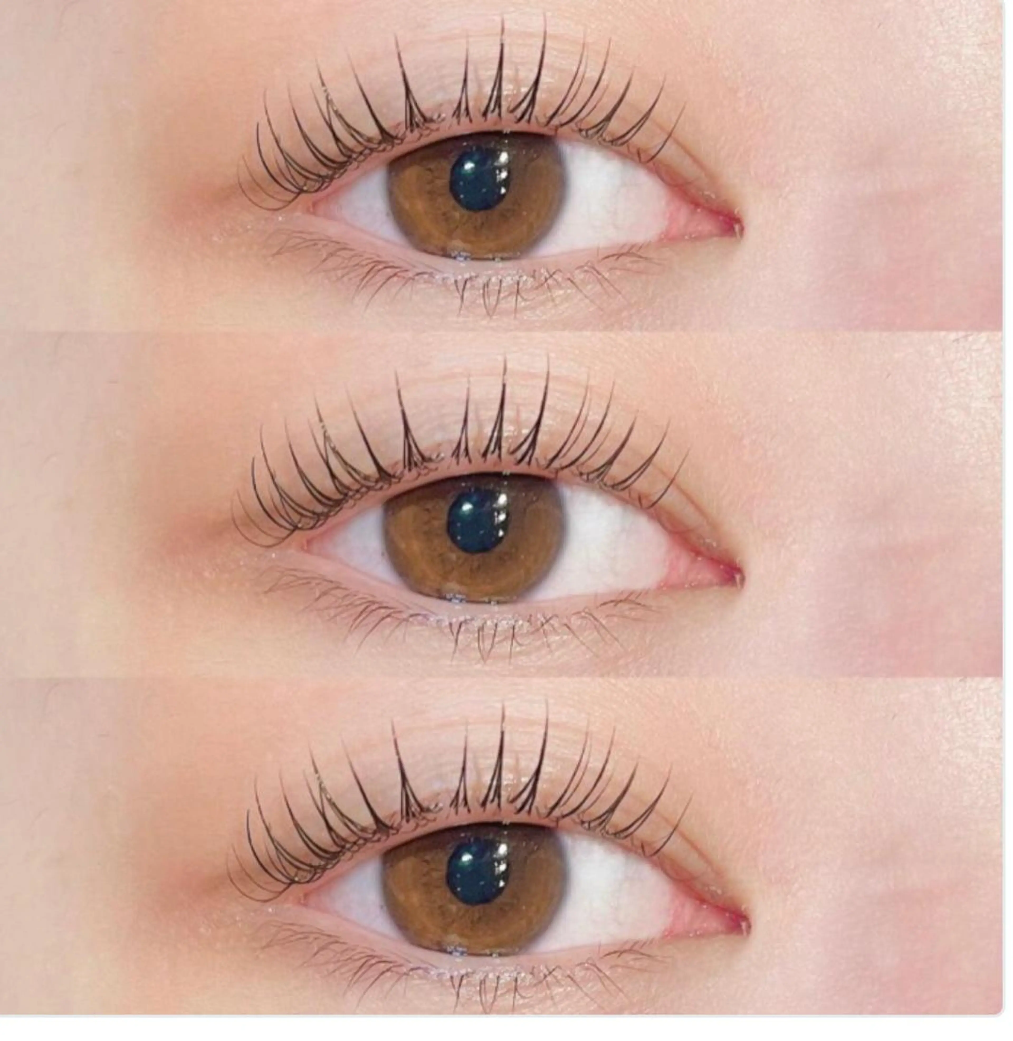 マツエク・マツパ 🌹ブリランテ🌹 大人気店のマツエク・マツパデザイン