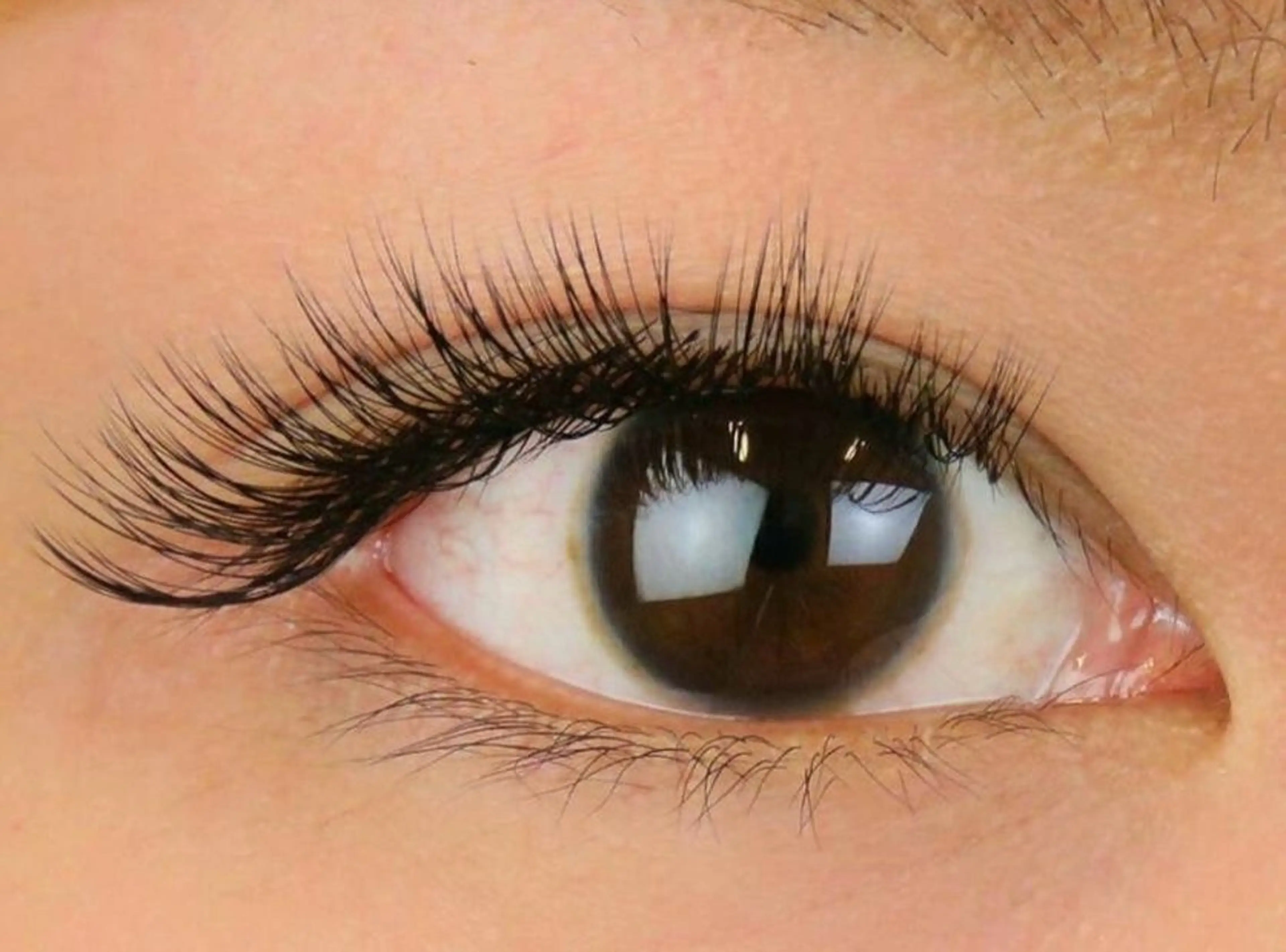 【撮影モデル】3DボリュームラッシュLEDエクステ0.07㎜Cカール8㎜​〜​13㎜　上まつ毛300本　ブラック　オフ無の方の写真