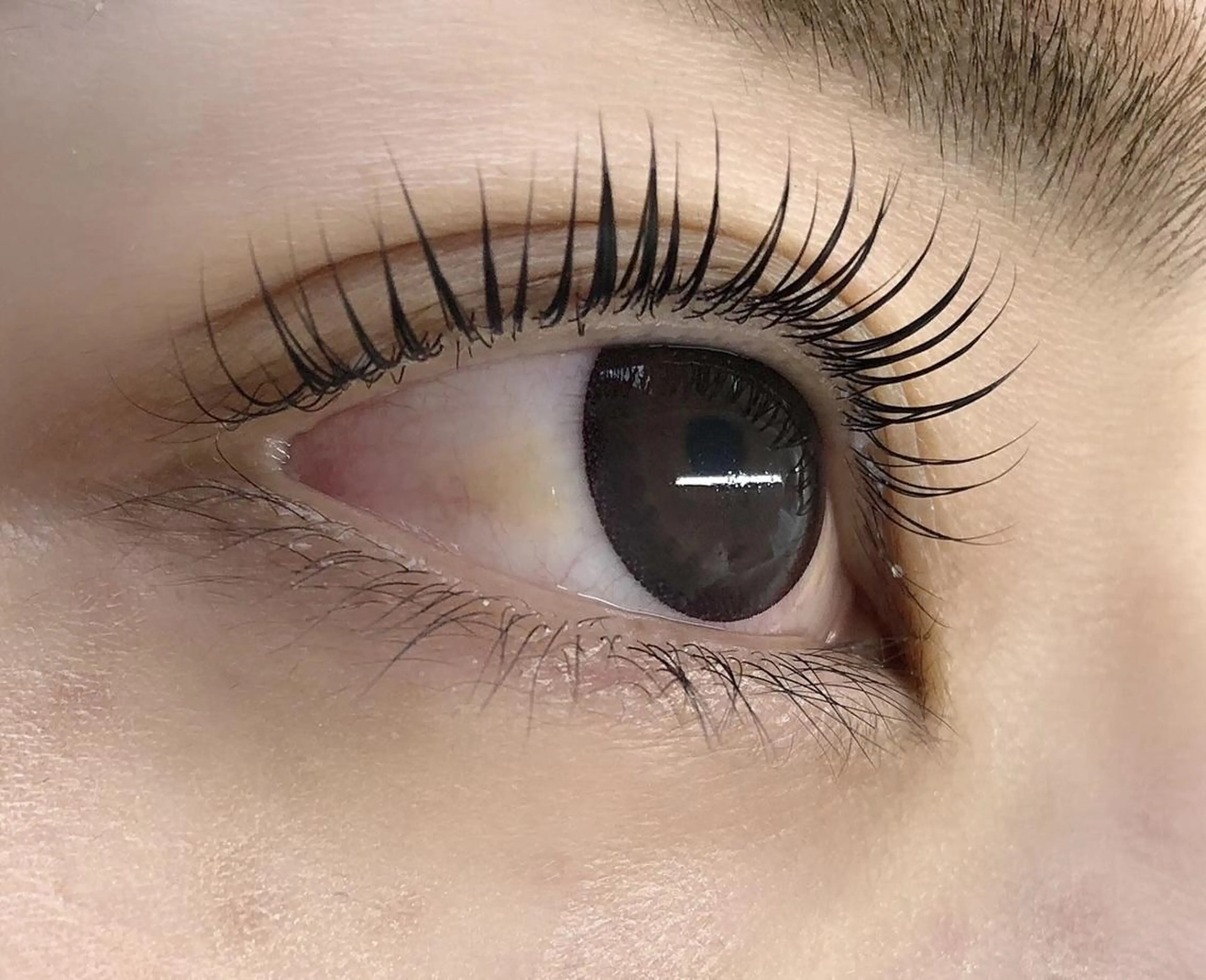 マツエク・マツパ Becky Lash所属・田中 都萌子の眉毛・アイブロウイメージ