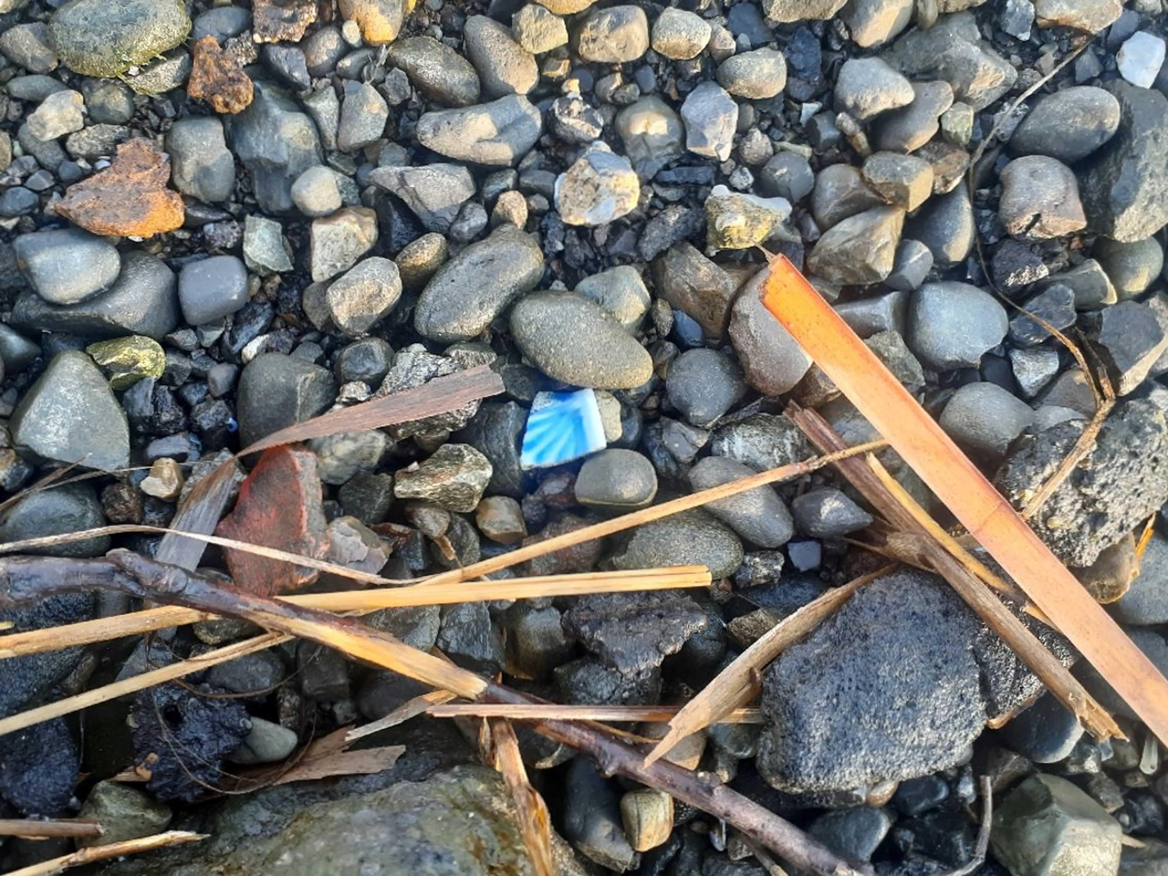 千の樹所属・久保 美咲(女性専用)のエステ・リラクイメージ