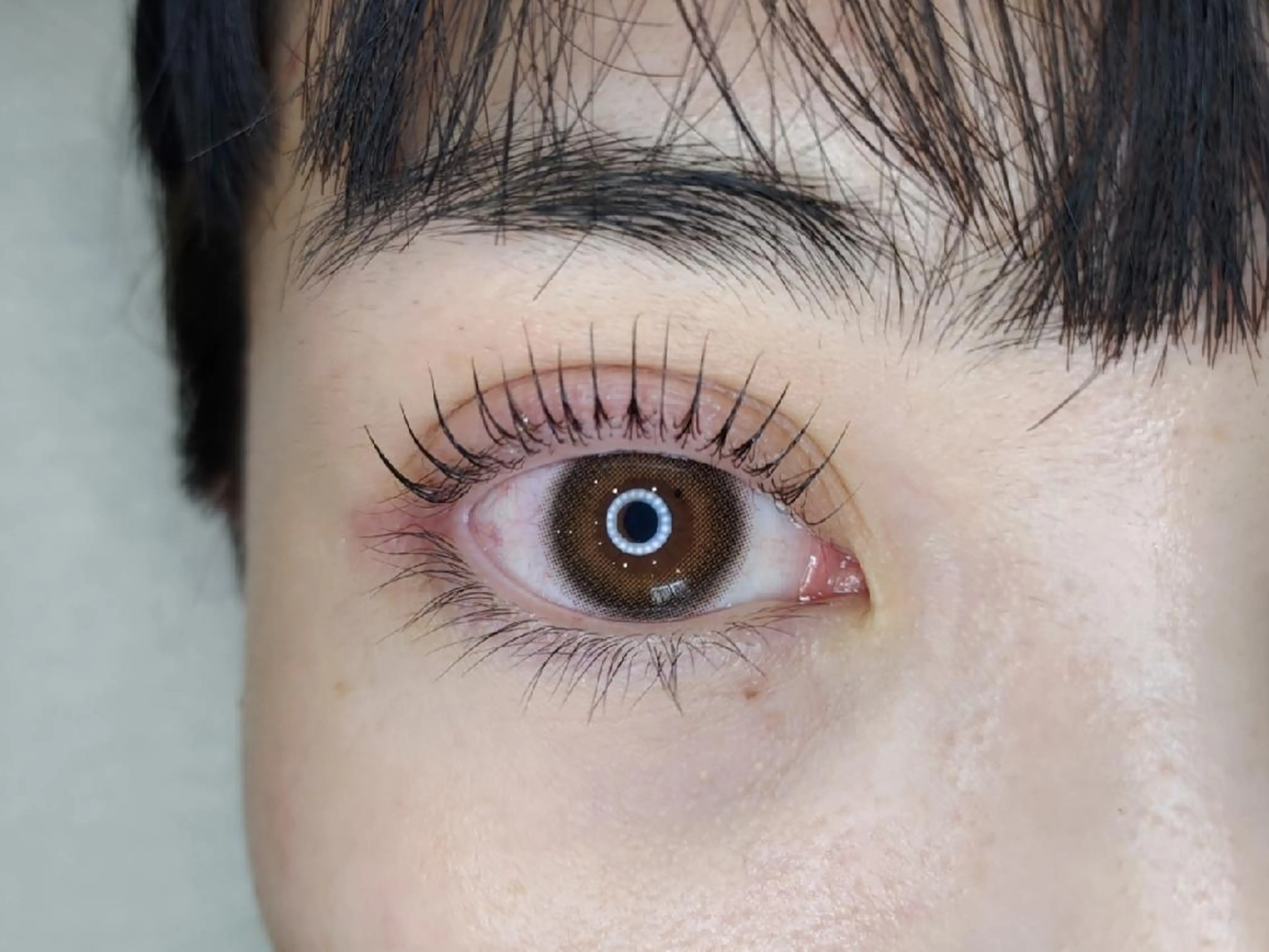 マツエク・マツパ パリジェンヌラッシュリフト マツパ STEEL所属・【STEEL】🦄 MASHIMA🦄のマツエク・マツパデザイン