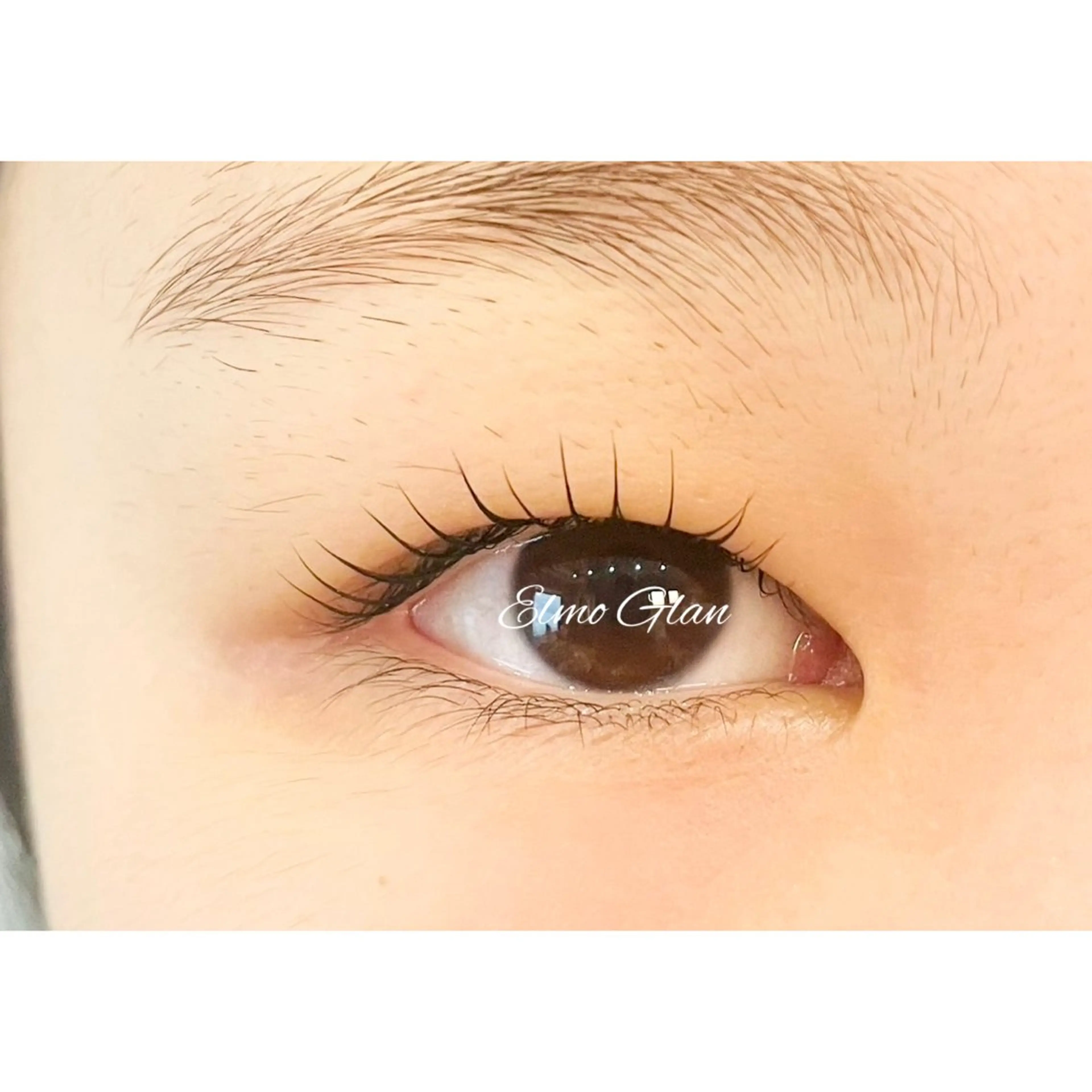 マツエク・マツパ 一重×まつ毛パーマ マツパ Elmo Glan サカモトのマツエク・マツパデザイン