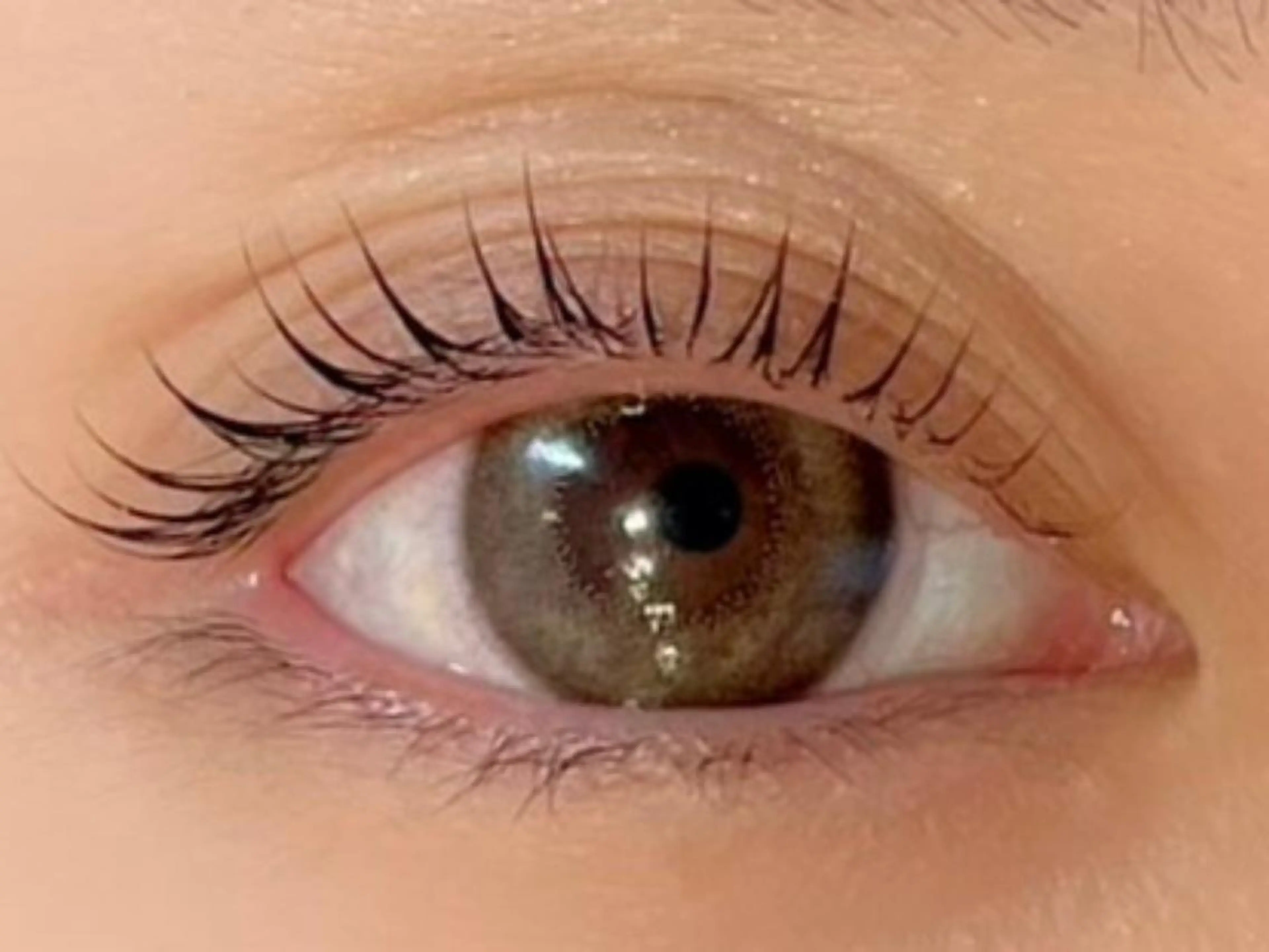 マツエク・マツパ Mian 津田沼のマツエク・マツパデザイン