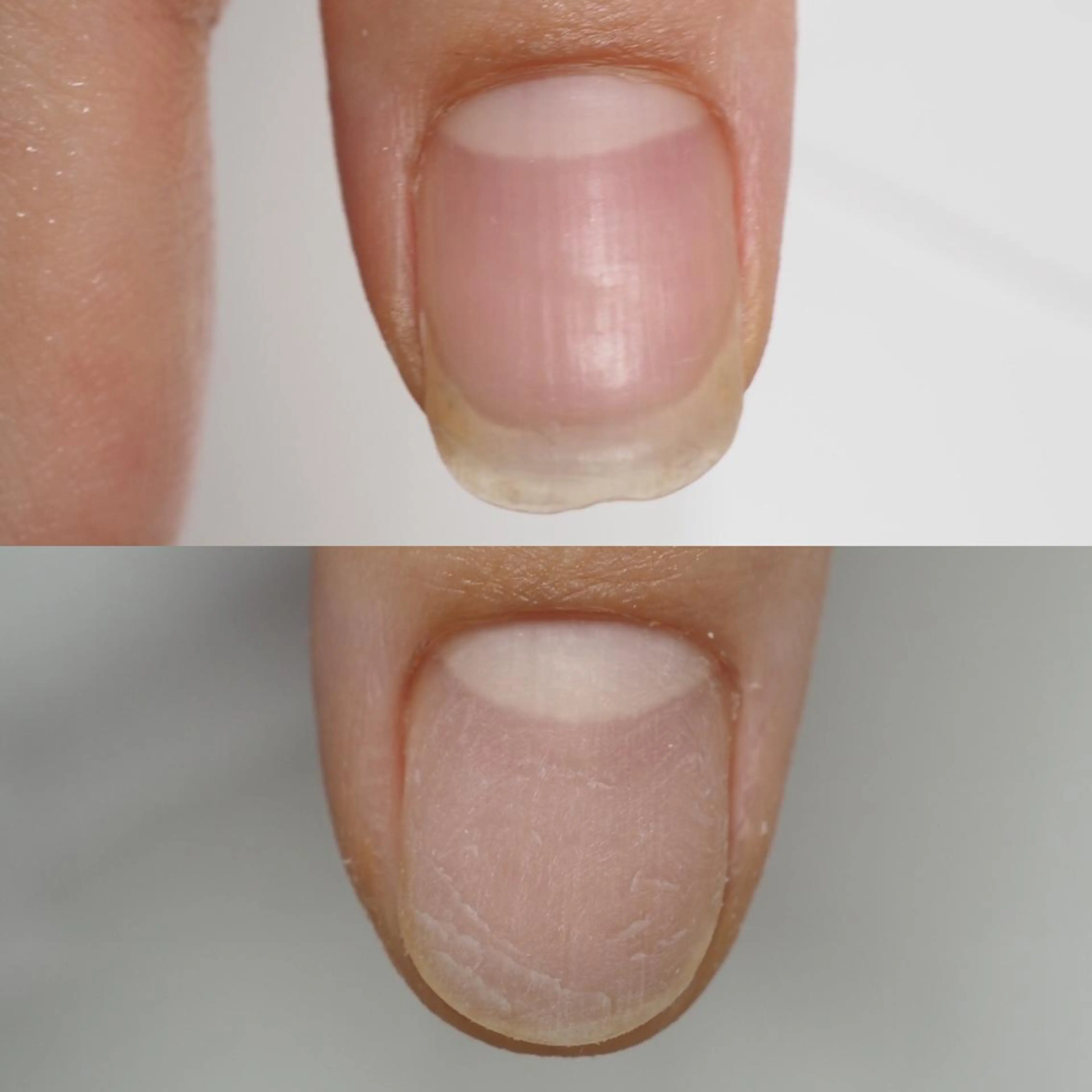 ショート カラー ネイル ピンクカラー ショートヘア ジェルネイル ピンク ショートネイル ネイルアーティスト アリスのネイルデザイン