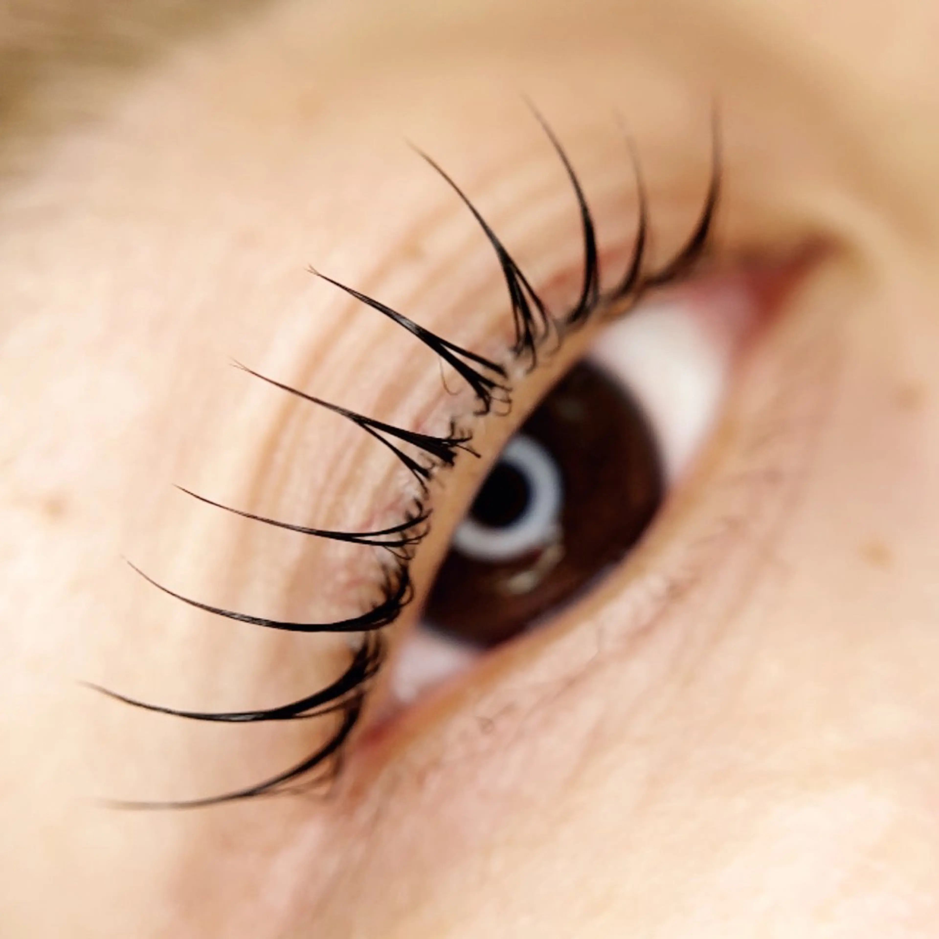 🎉オーダーメイドまつ毛パーマ✨¥4500🦩の写真