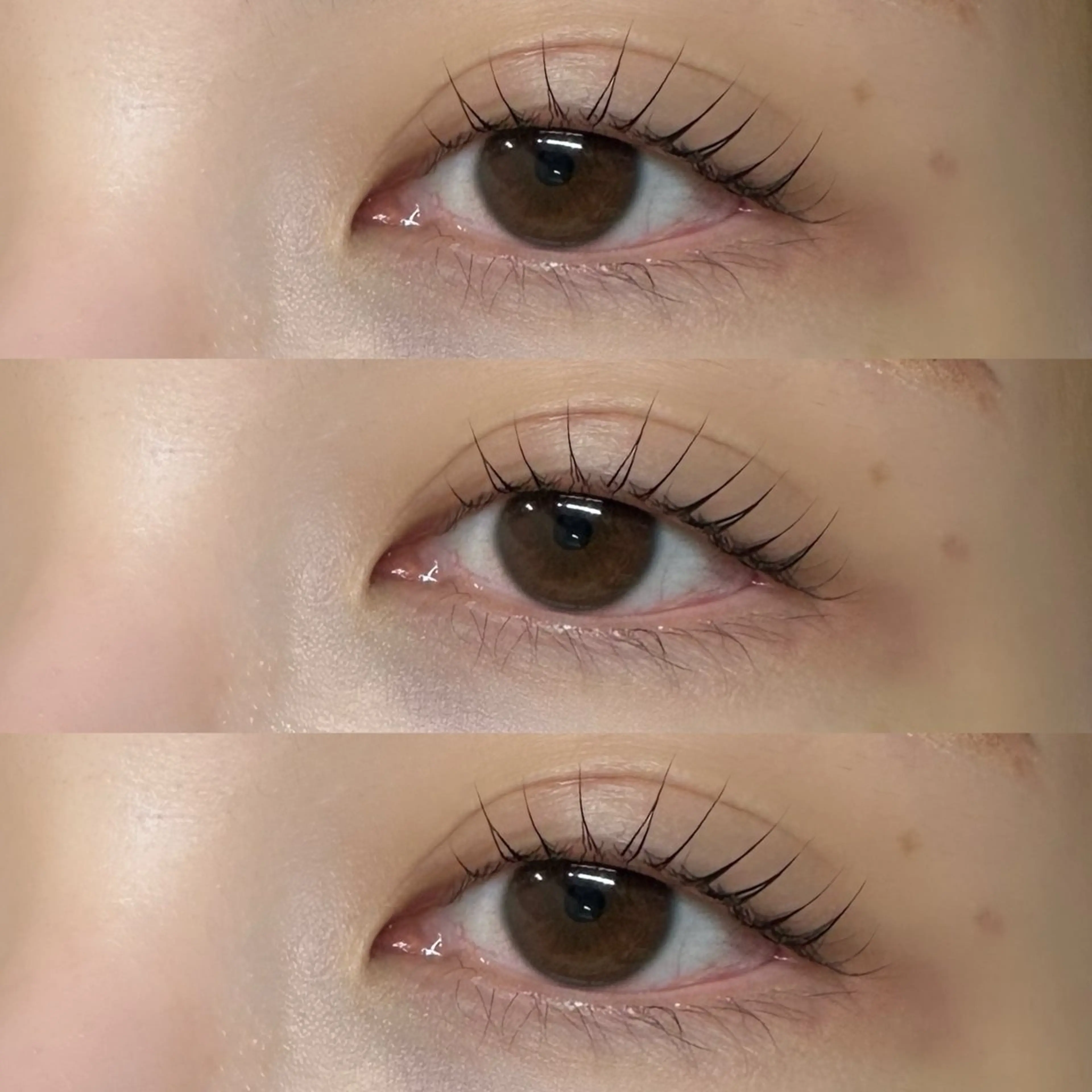 マツエク・マツパ マツパ 🦋Code.🦋 eyelash🩵の眉毛・アイブロウイメージ