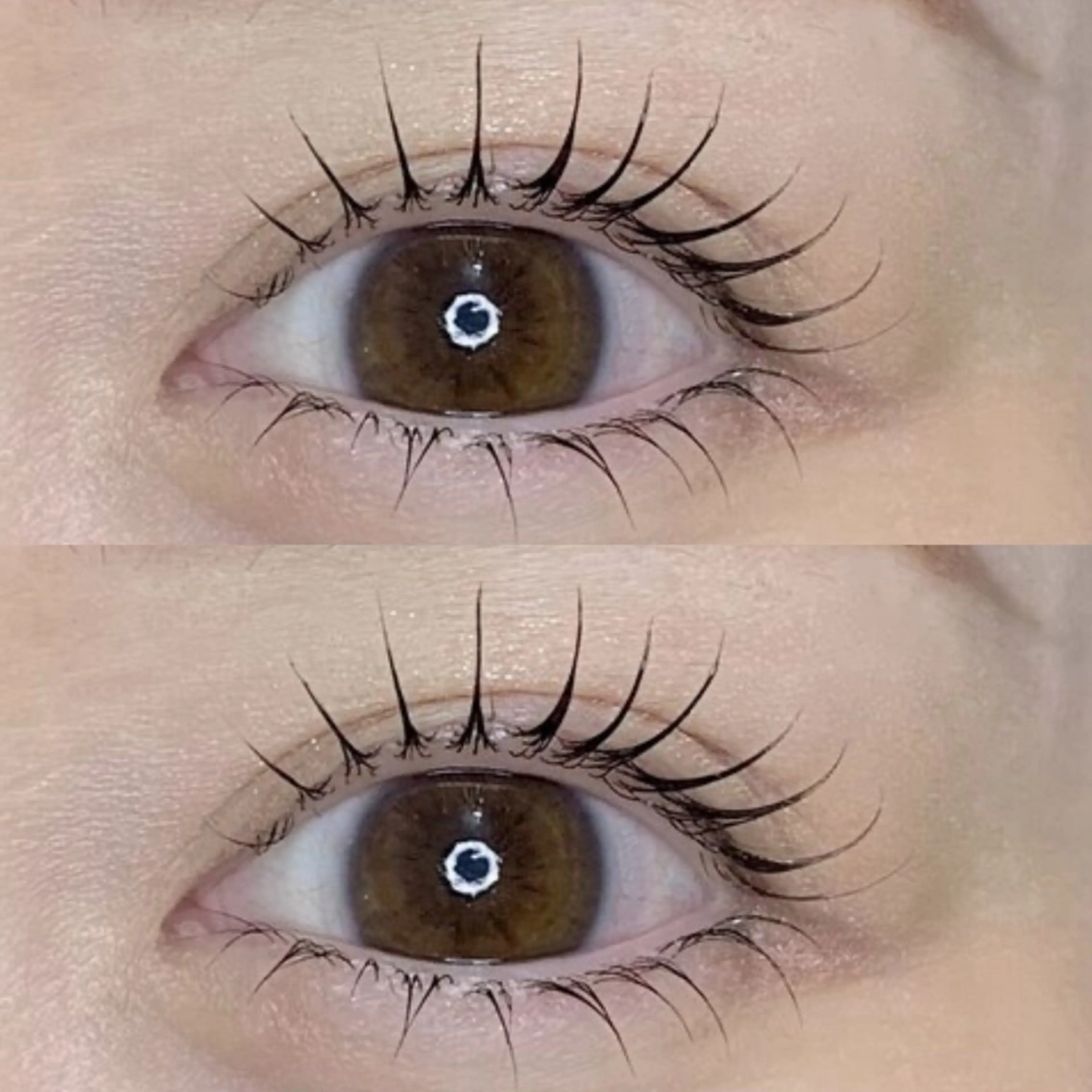 女性限定🎀上下まつ毛パーマ🫧仕上げコーティング付き⚠️10分前来店必須の写真