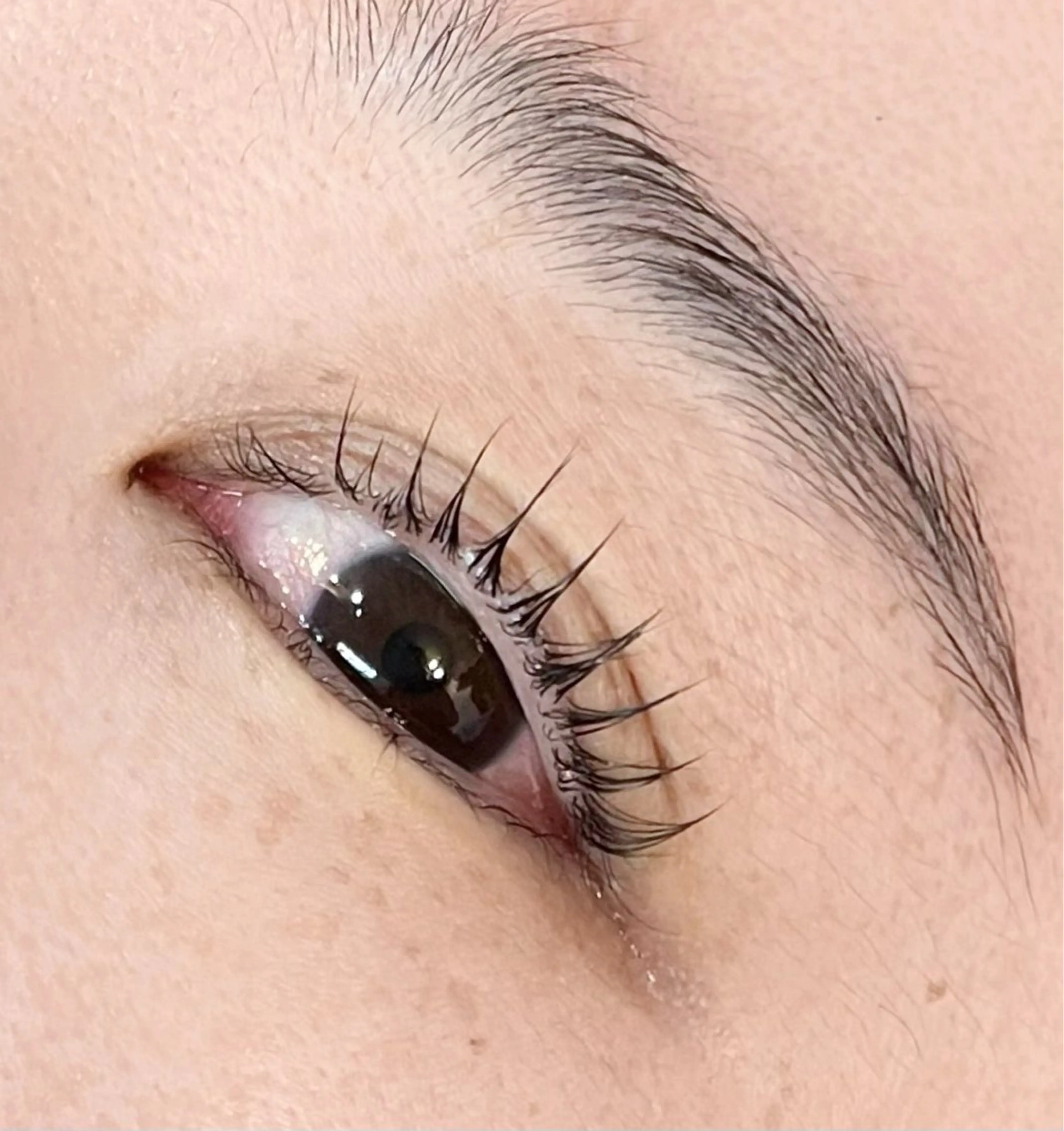 マツエク・マツパ EYELA(アイラ)柏店所属・👑EYELA 柏／ 川村👑のマツエク・マツパデザイン