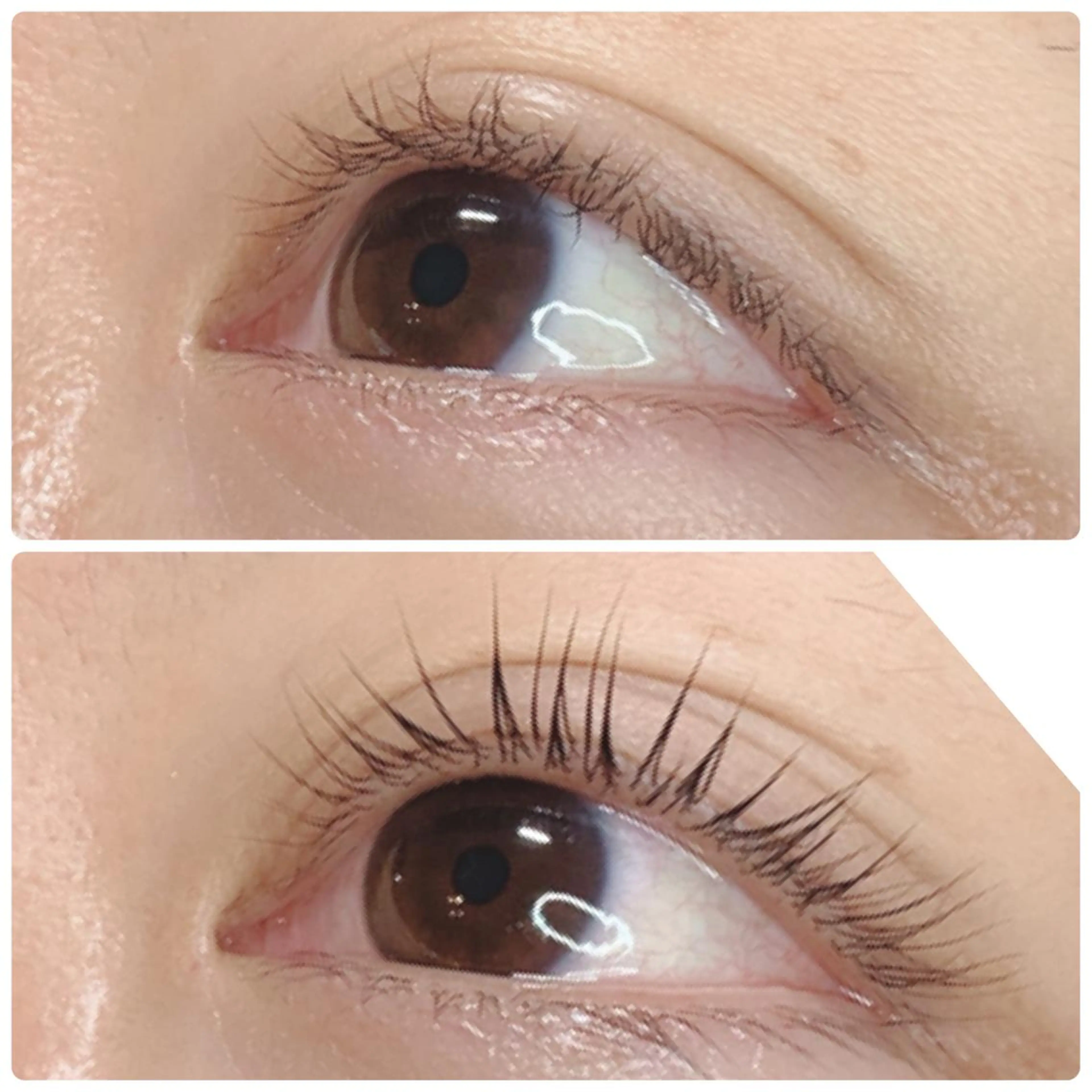 マツエク・マツパ マツパ mama Lindo所属・谷口 沙希のマツエク・マツパデザイン